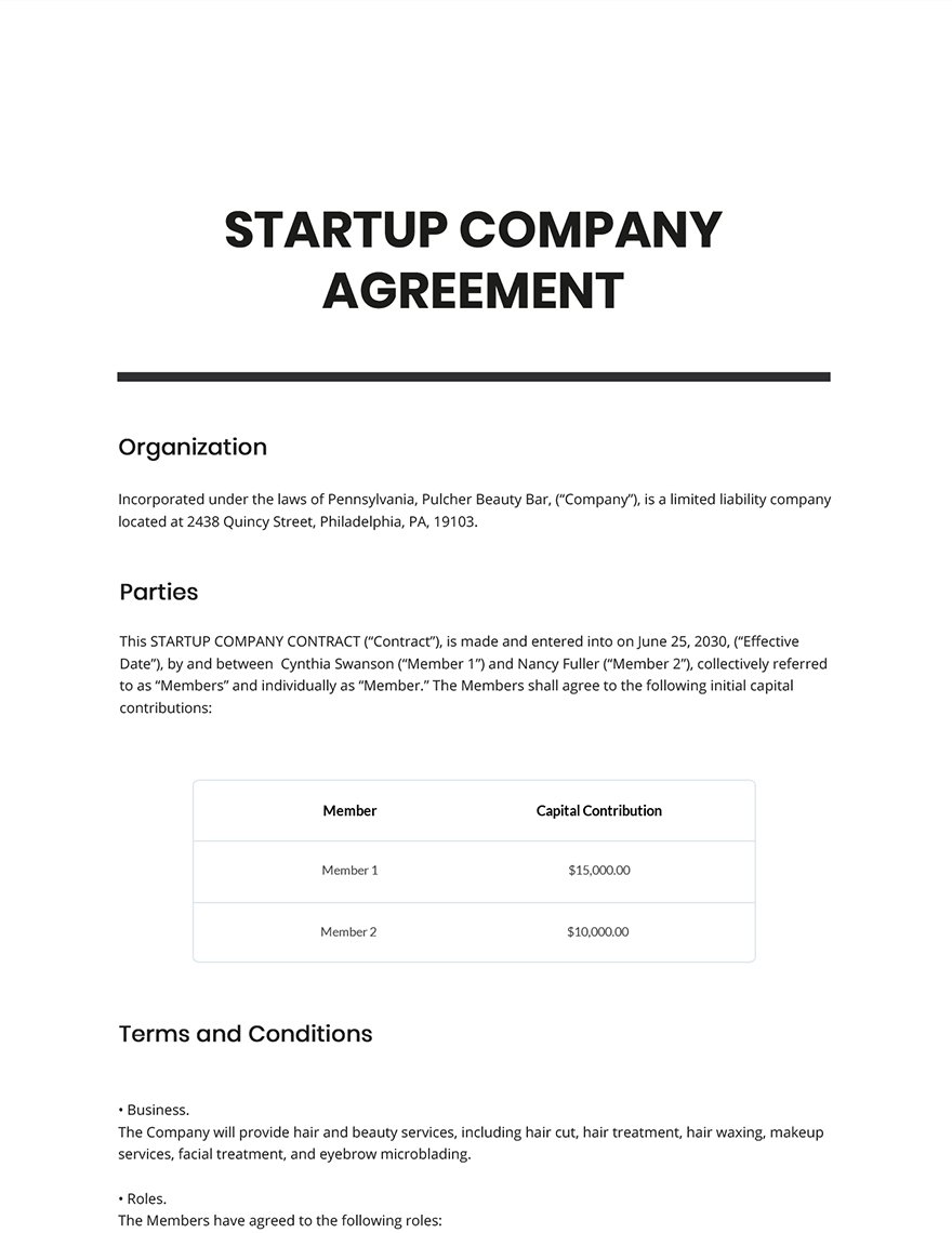 Startup Company Contract Template