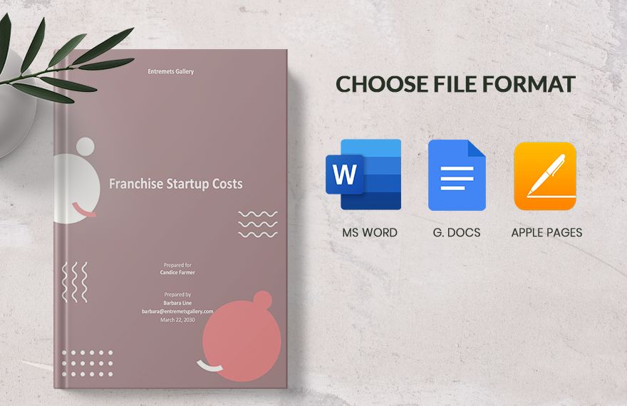 Franchise Startup Costs Template