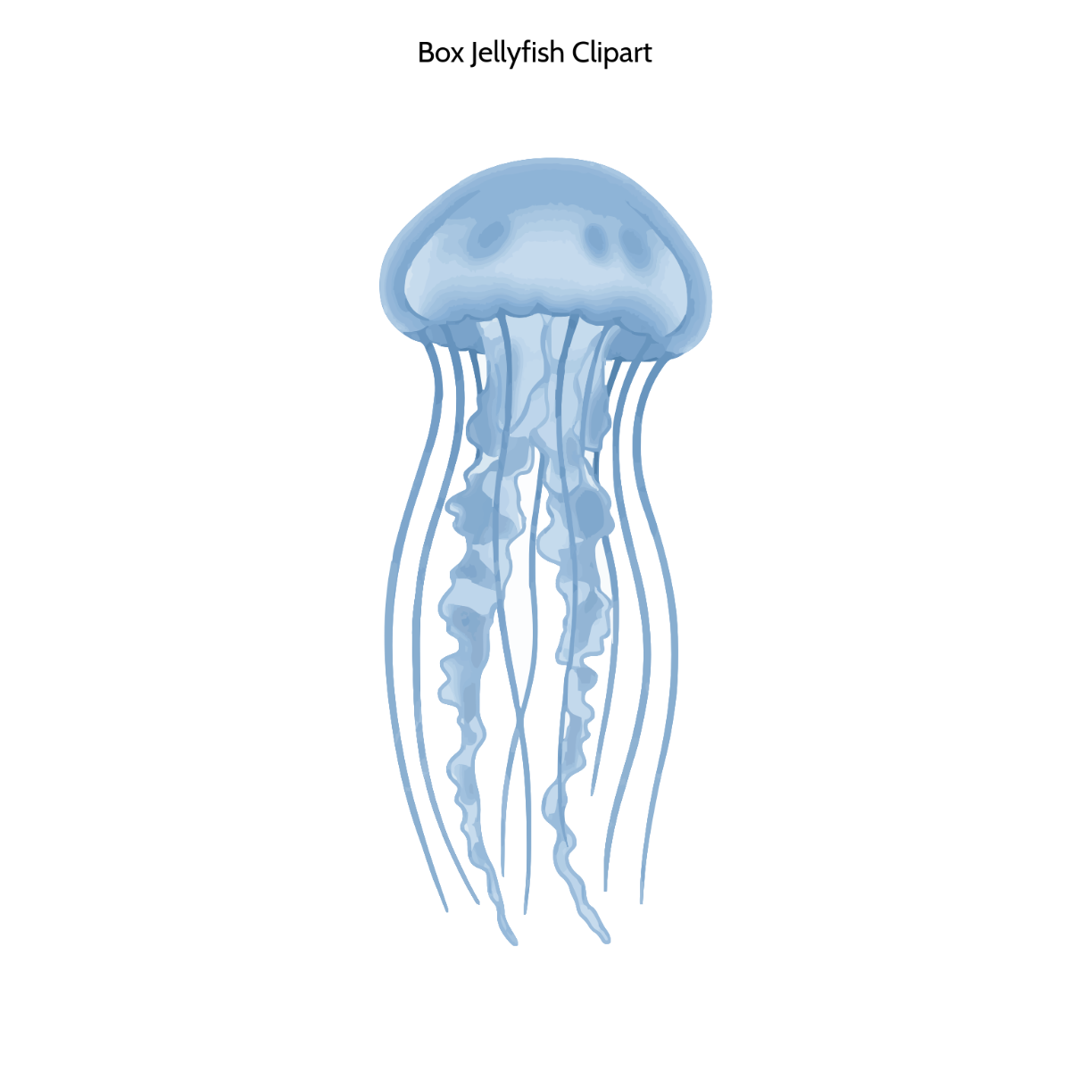 Free Box Jellyfish Clipart Template