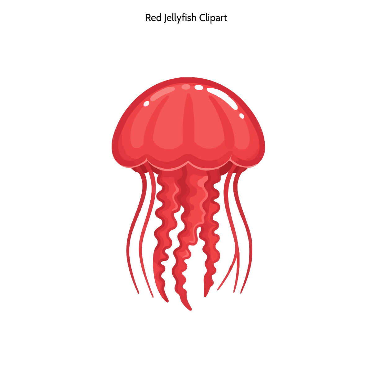 Free Red Jellyfish Clipart Template