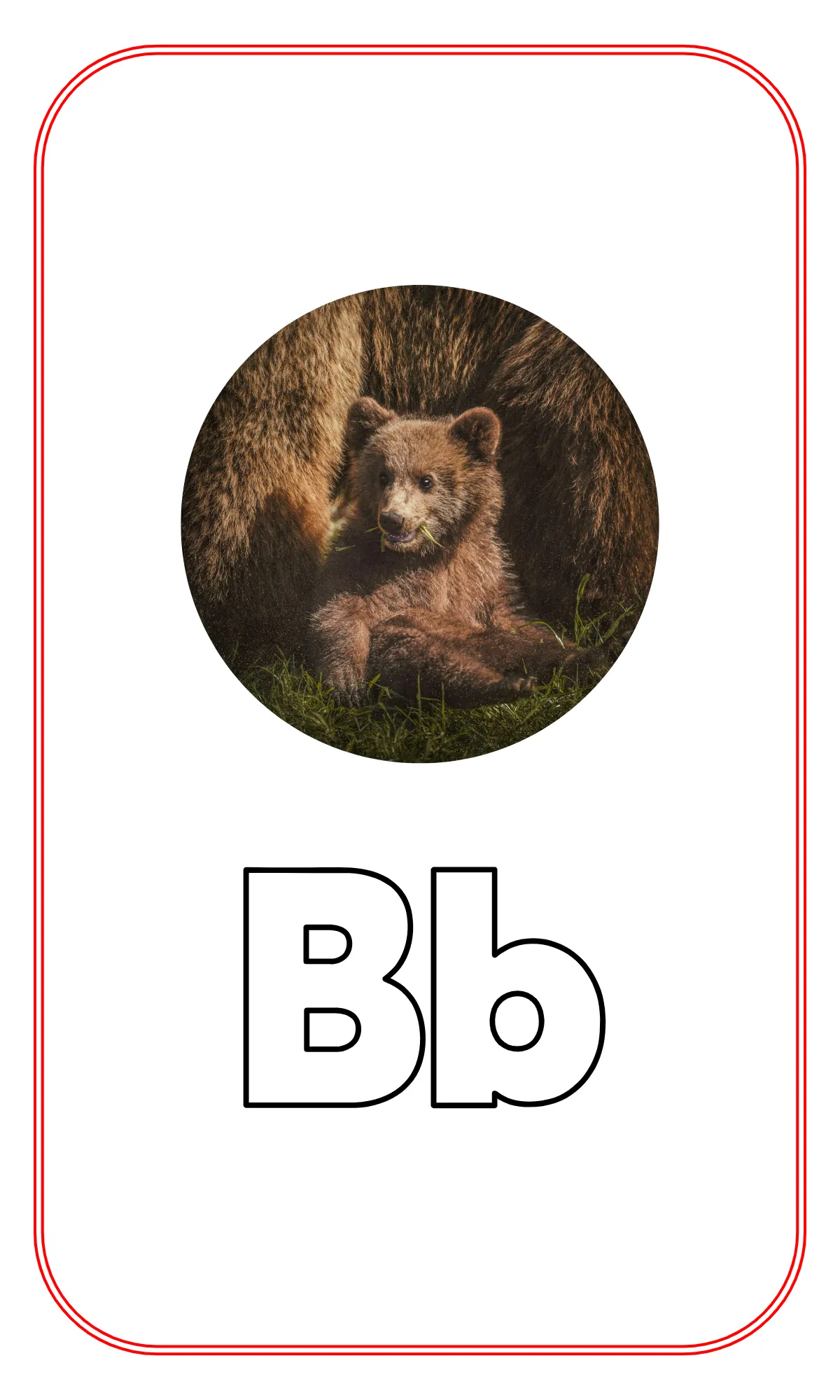 Free Blank Alphabet Tracing Flashcards Template to Edit Online