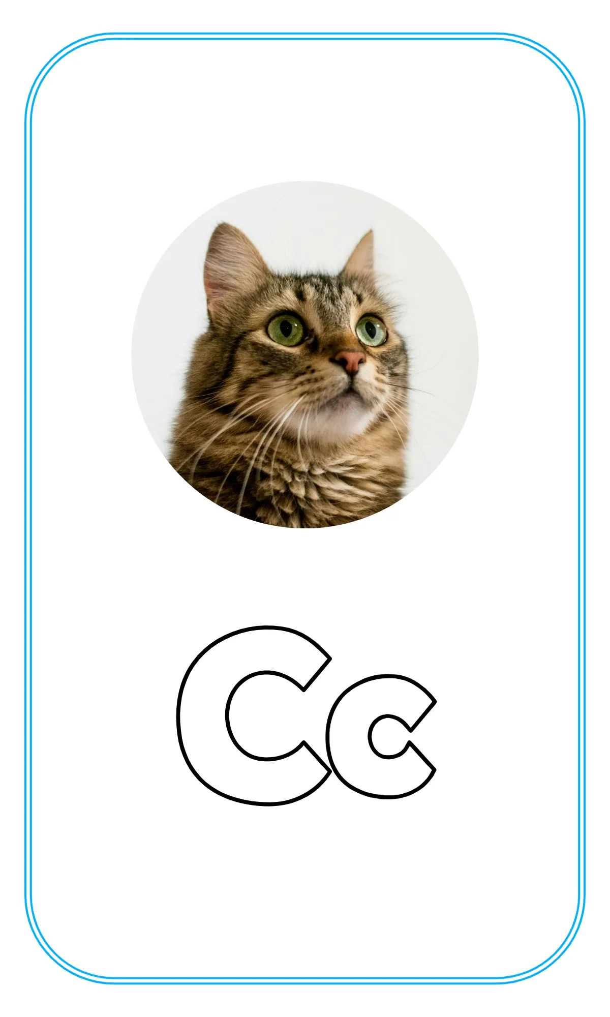 Free Blank Alphabet Tracing Flashcards Template to Edit Online