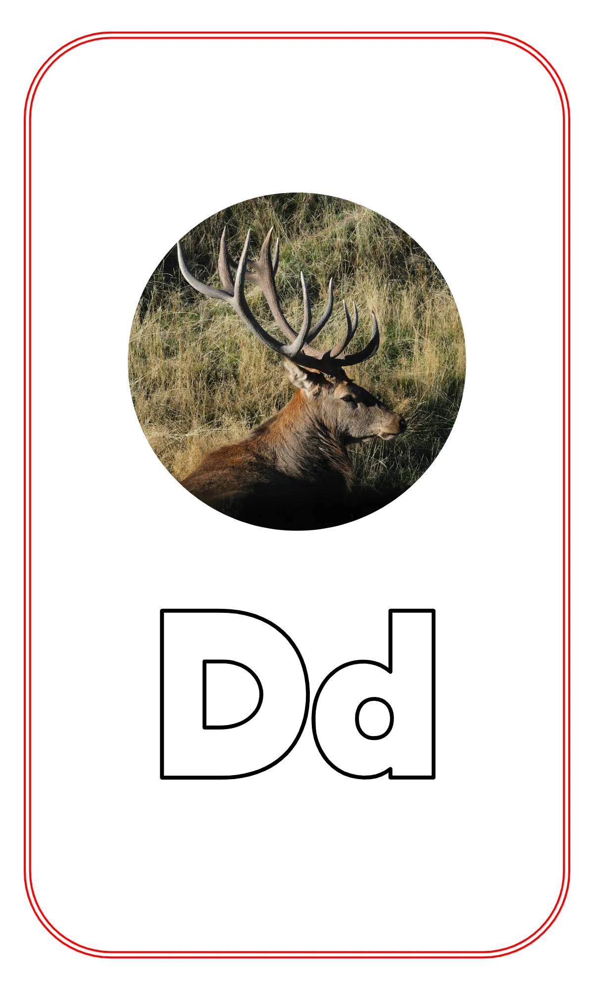 Free Blank Alphabet Tracing Flashcards Template to Edit Online