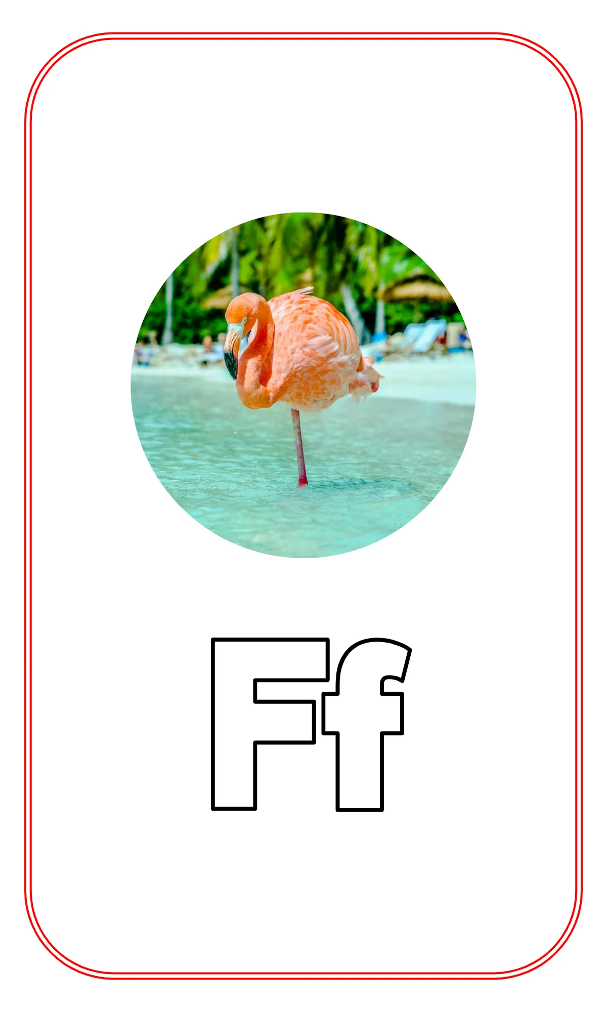 Free Blank Alphabet Tracing Flashcards Template to Edit Online