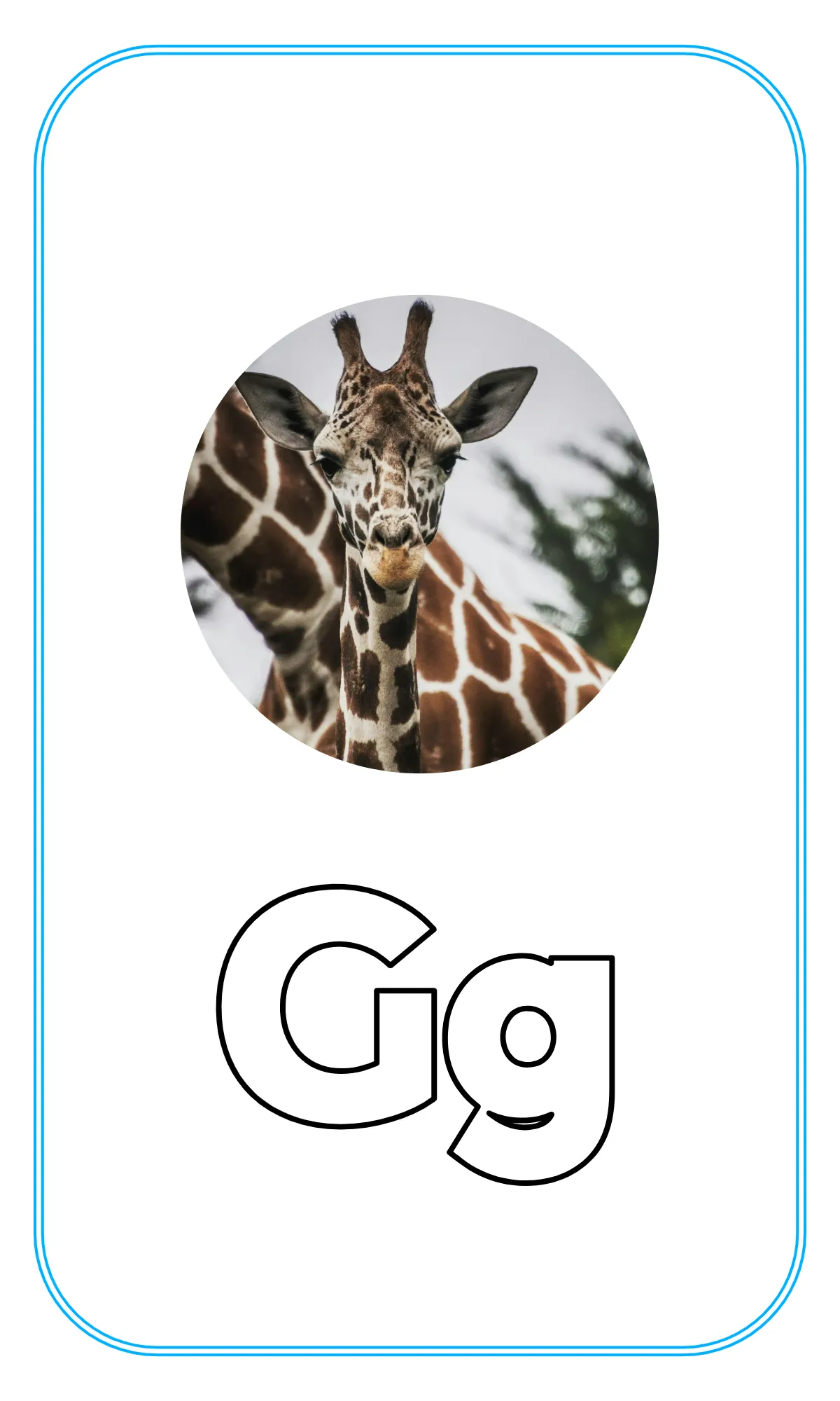 Free Blank Alphabet Tracing Flashcards Template to Edit Online