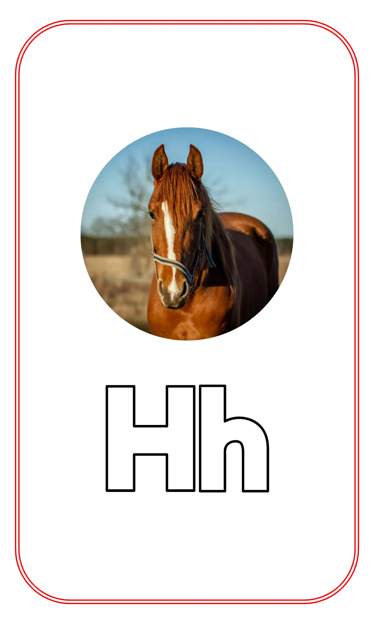 Free Blank Alphabet Tracing Flashcards Template to Edit Online