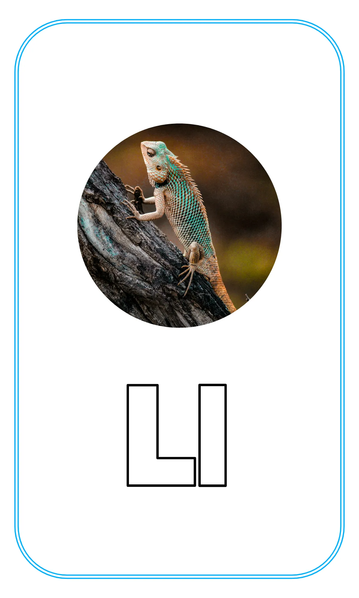 Free Blank Alphabet Tracing Flashcards Template to Edit Online