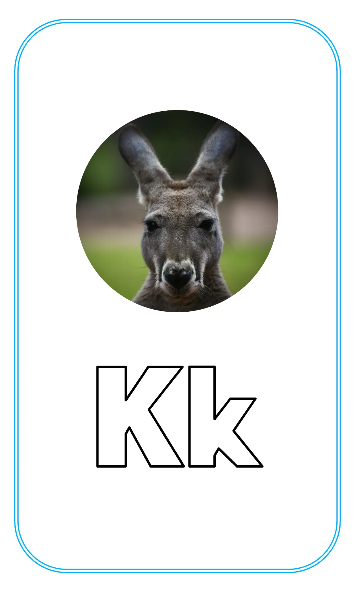 Free Blank Alphabet Tracing Flashcards Template to Edit Online