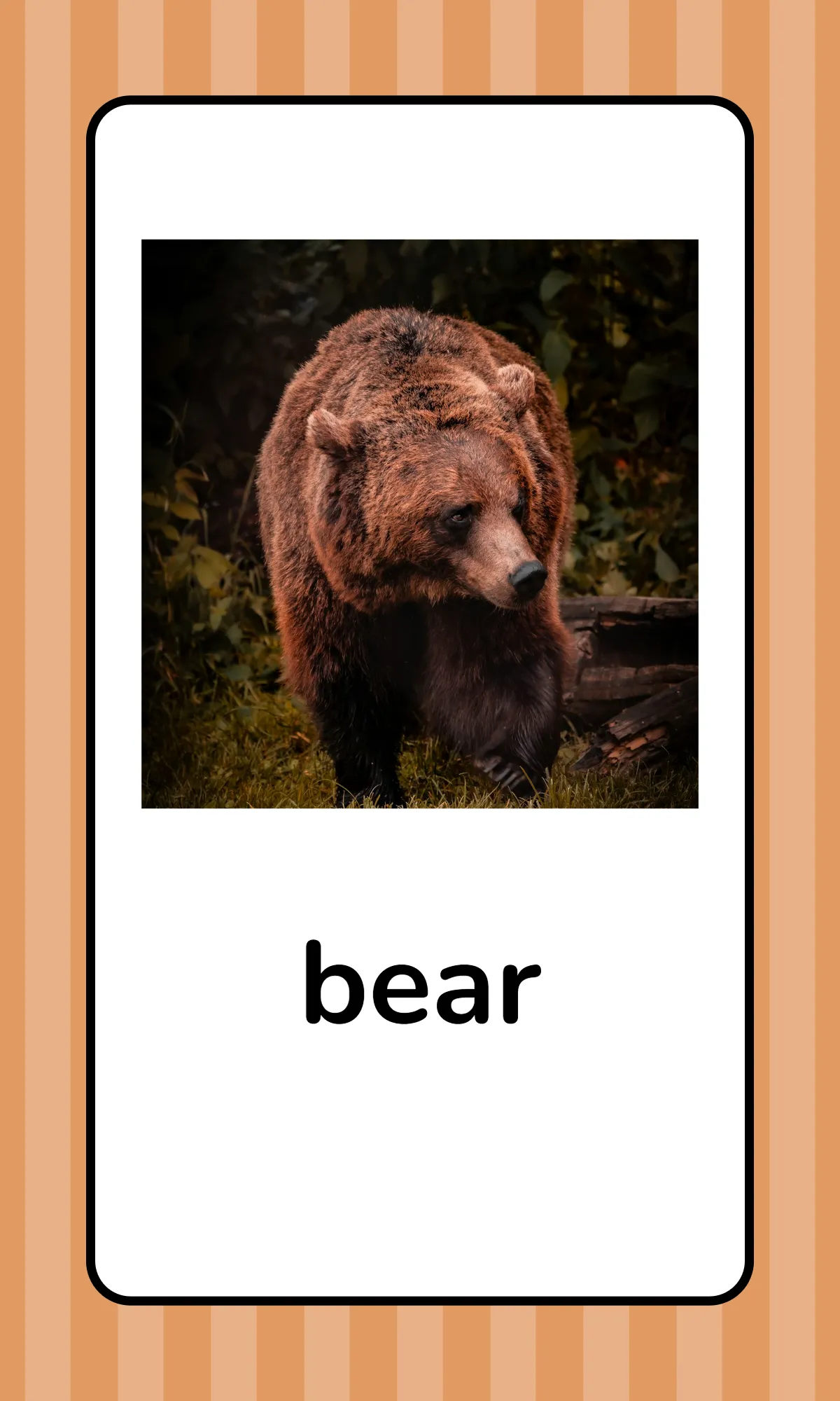 Free Alphabet Flashcards with Animals Template to Edit Online
