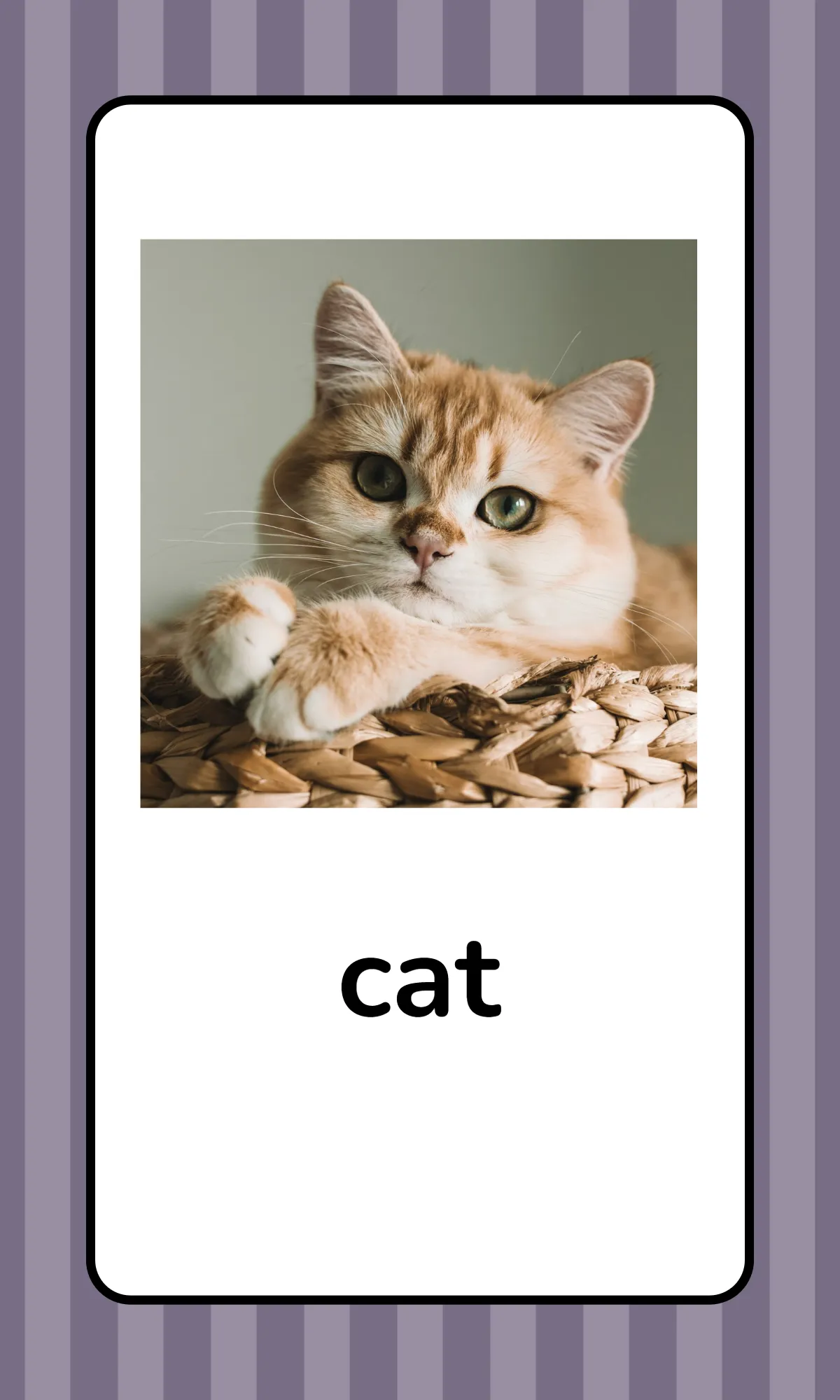Free Alphabet Flashcards with Animals Template to Edit Online