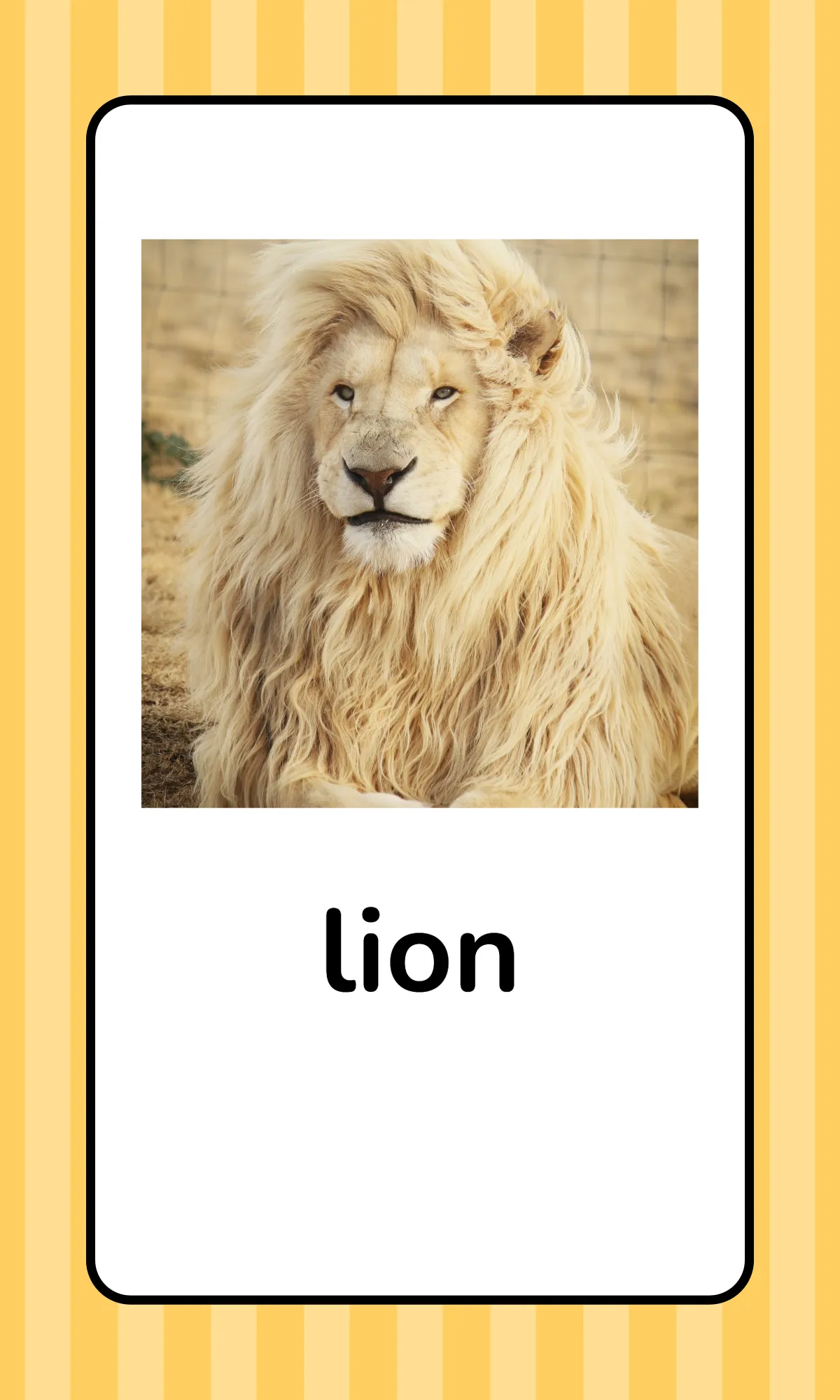 Free Alphabet Flashcards with Animals Template to Edit Online