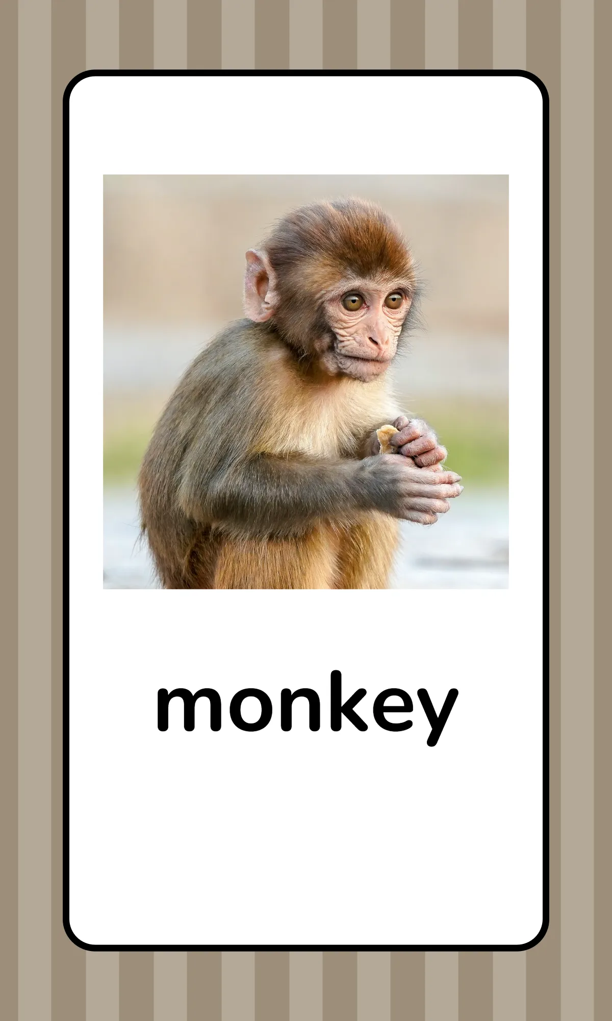 Free Alphabet Flashcards with Animals Template to Edit Online