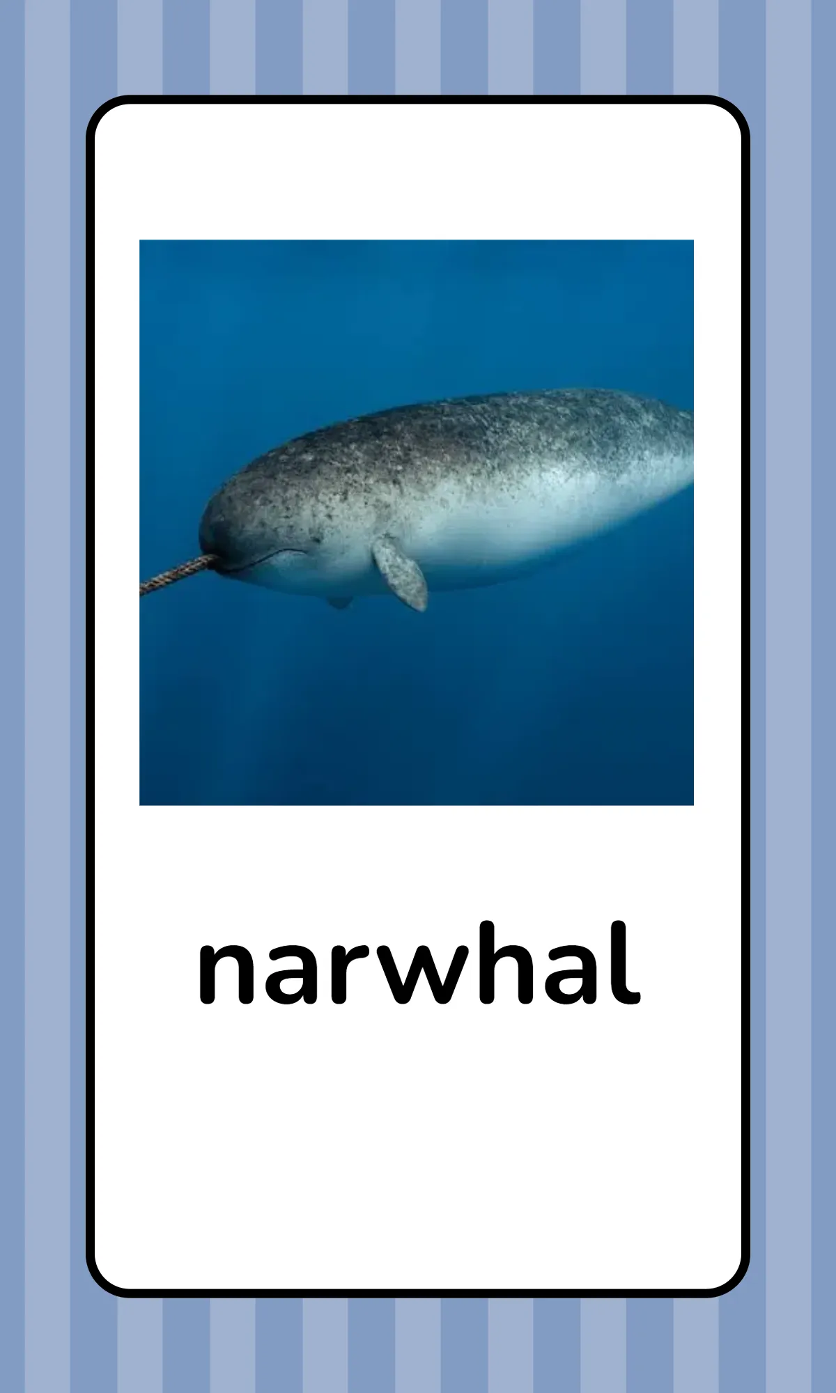 Free Alphabet Flashcards with Animals Template to Edit Online
