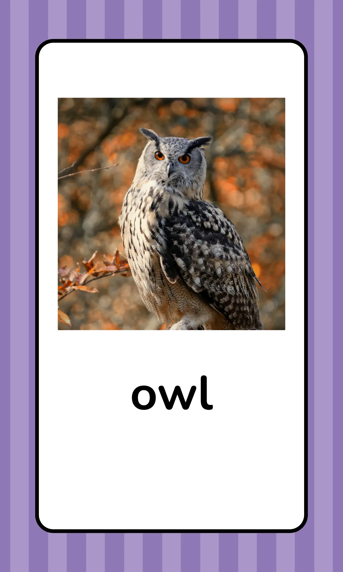 Free Alphabet Flashcards with Animals Template to Edit Online