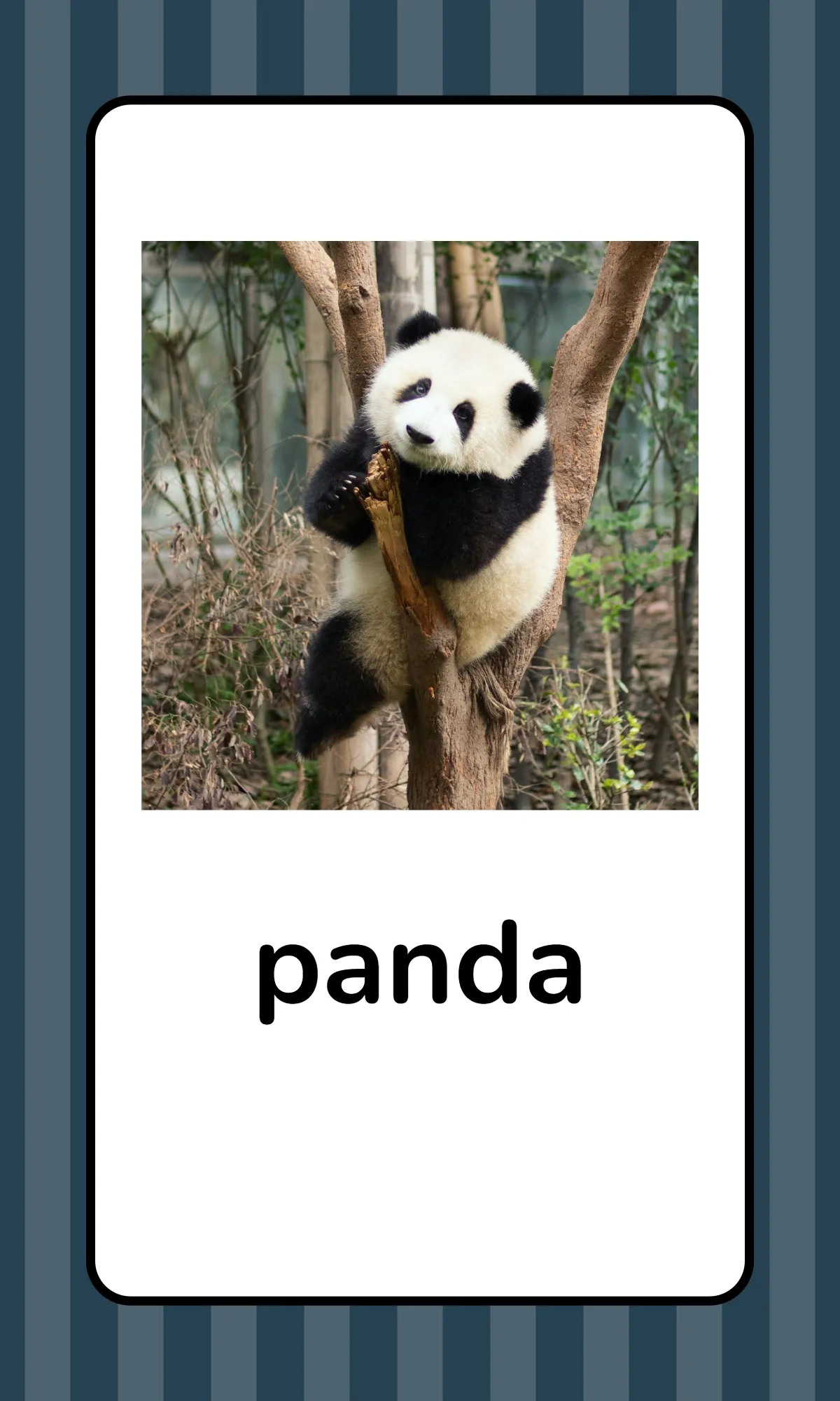 Free Alphabet Flashcards with Animals Template to Edit Online