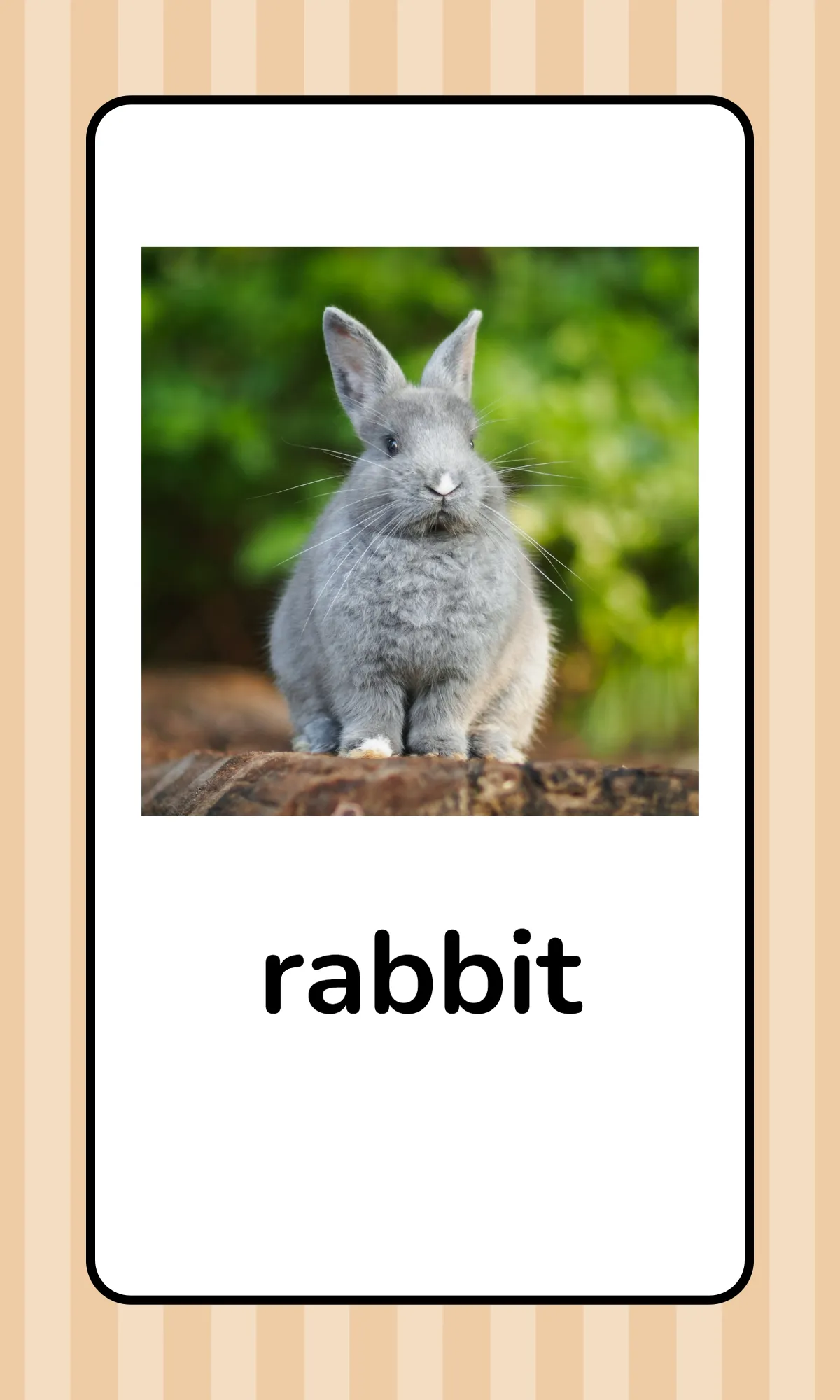 Free Alphabet Flashcards with Animals Template to Edit Online