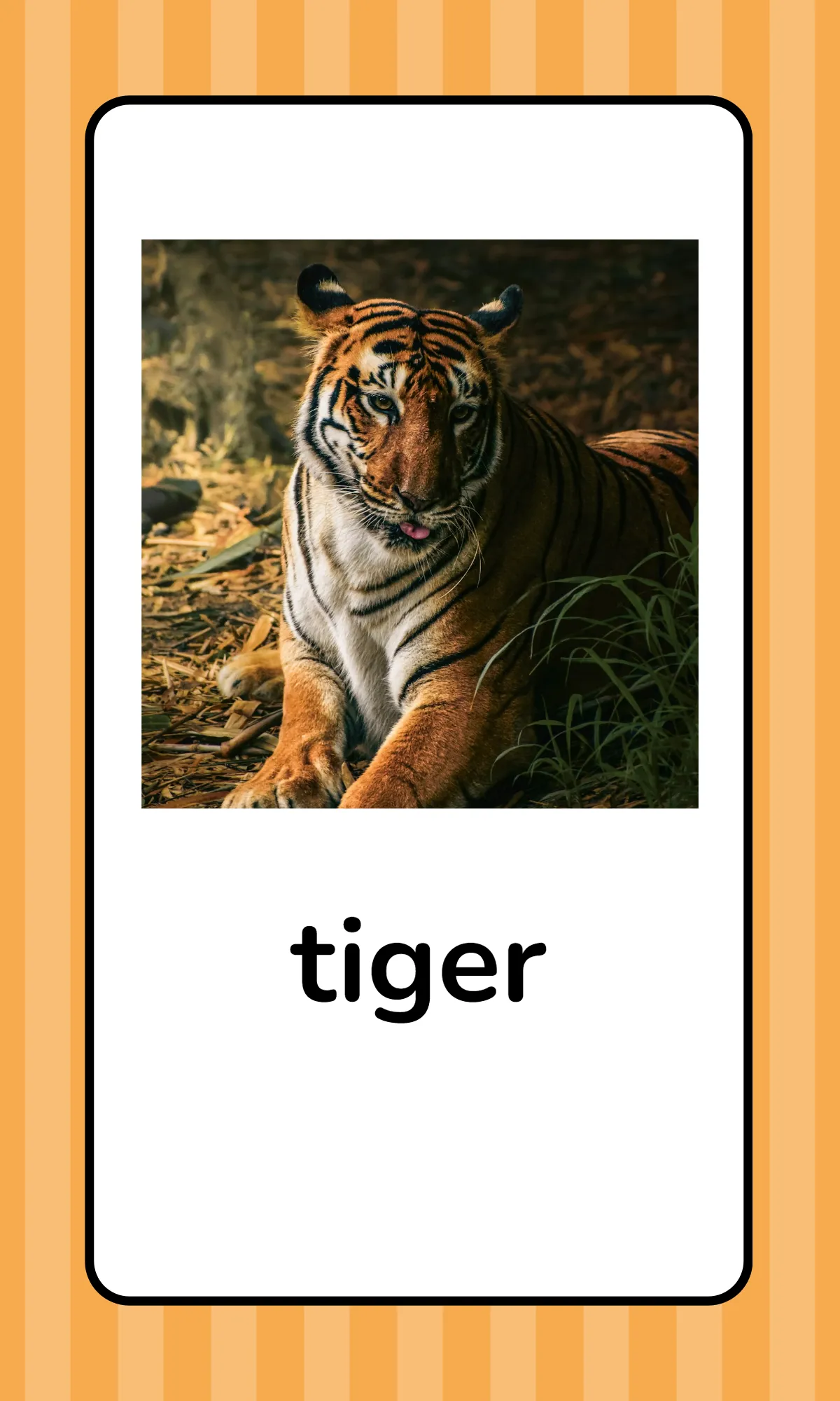 Free Alphabet Flashcards with Animals Template to Edit Online