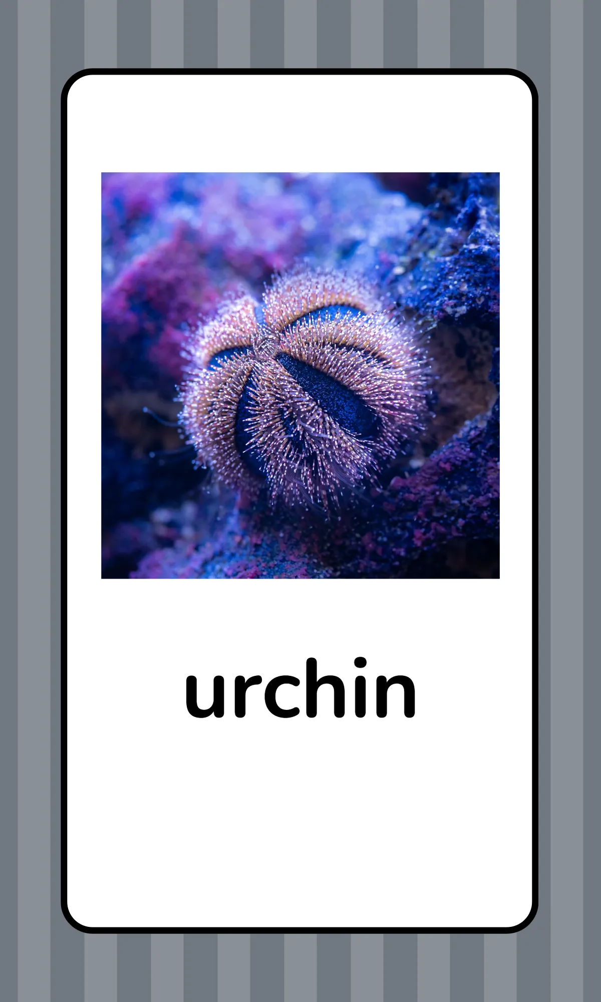 Free Alphabet Flashcards with Animals Template to Edit Online