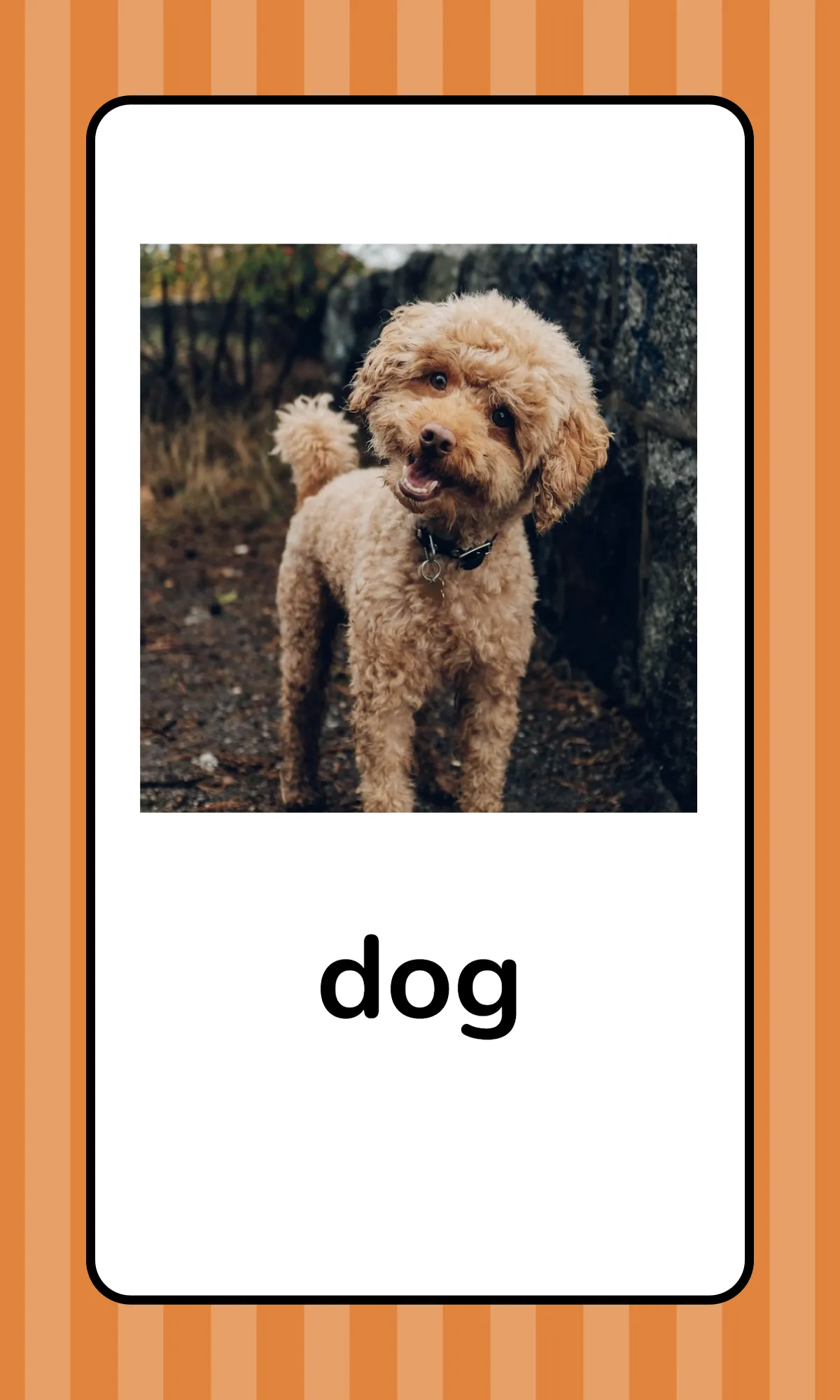 Free Alphabet Flashcards with Animals Template to Edit Online