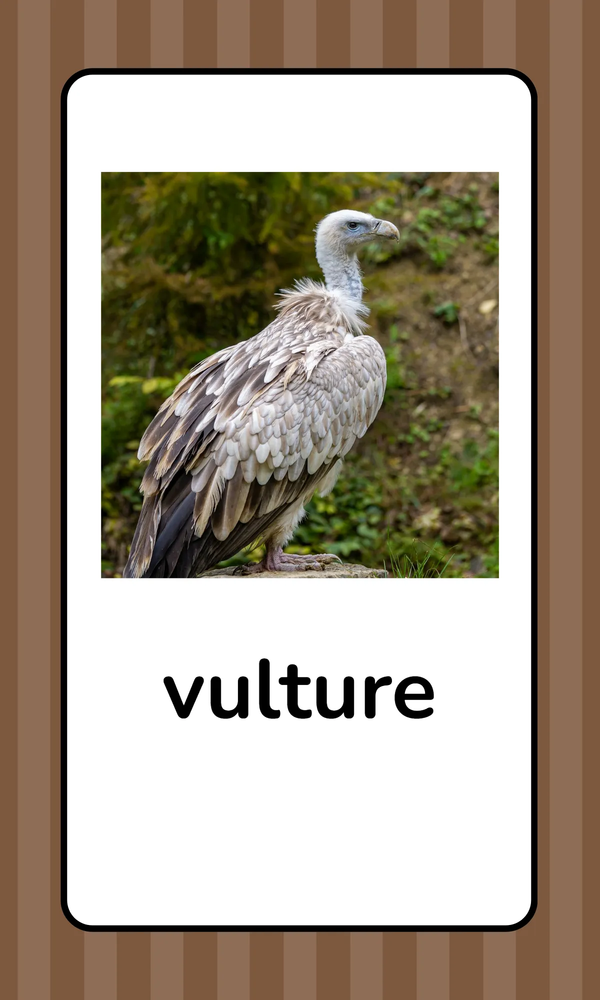 Free Alphabet Flashcards with Animals Template to Edit Online