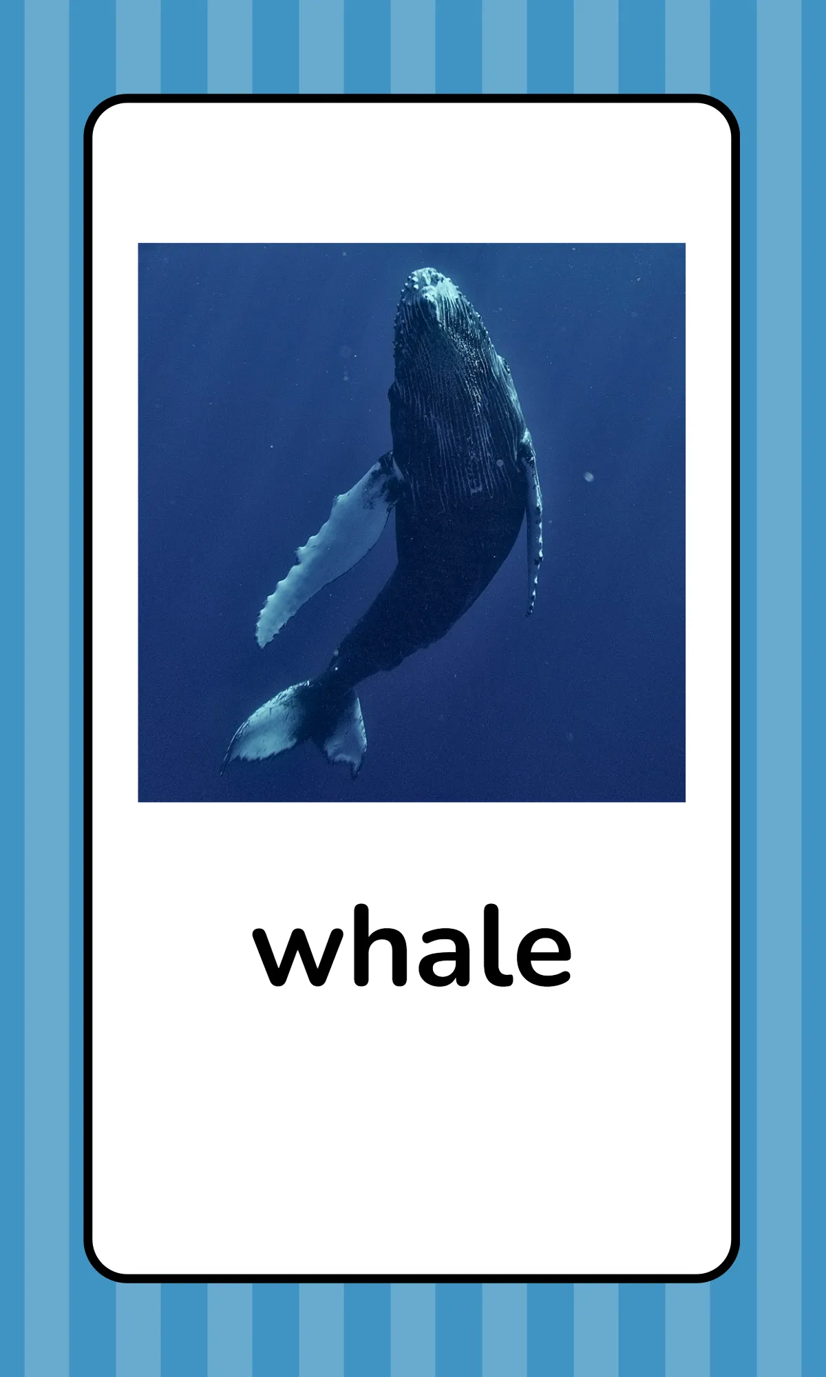 Free Alphabet Flashcards with Animals Template to Edit Online
