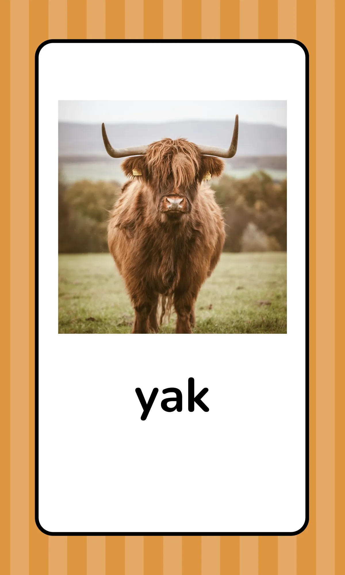 Free Alphabet Flashcards with Animals Template to Edit Online