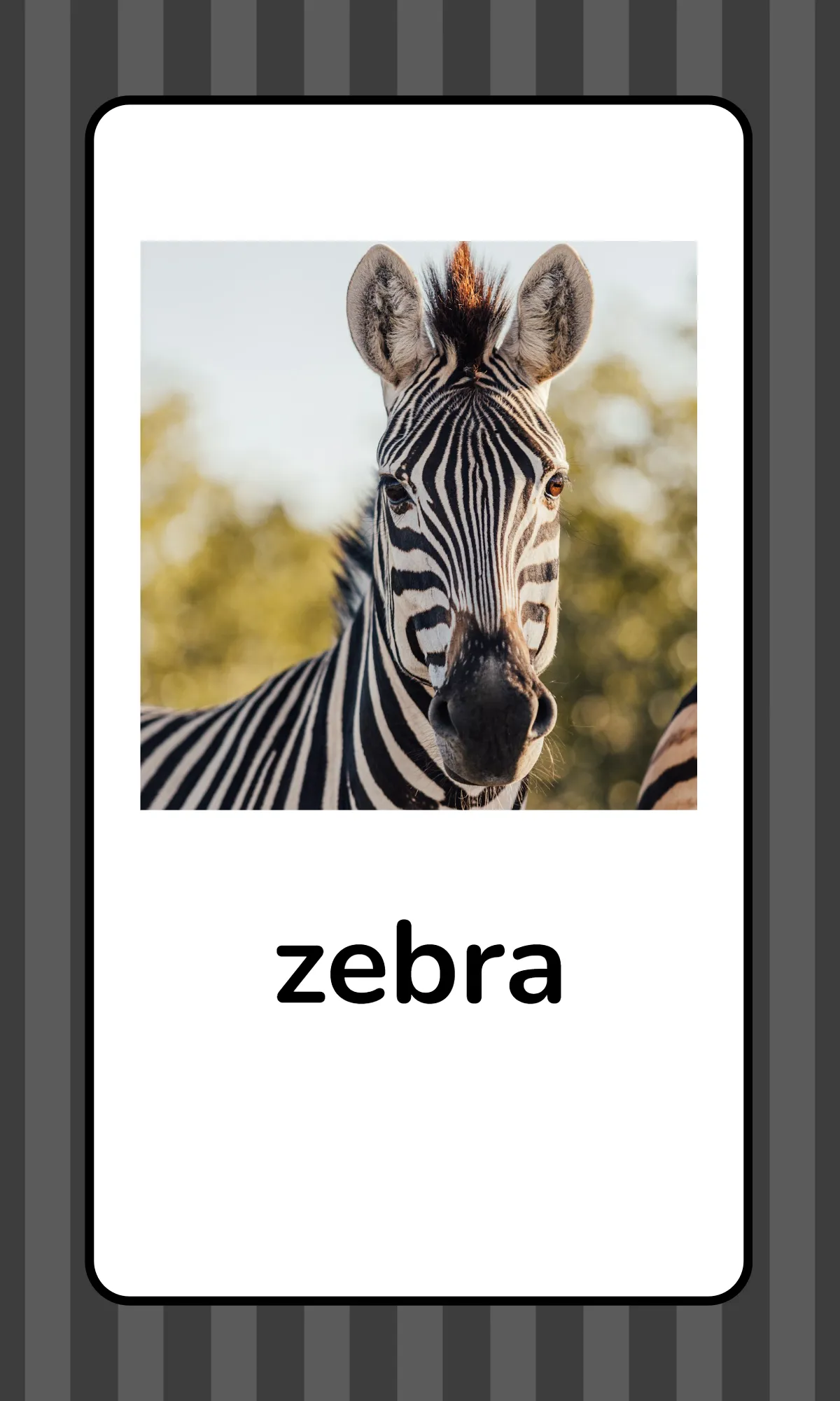 Free Alphabet Flashcards with Animals Template to Edit Online