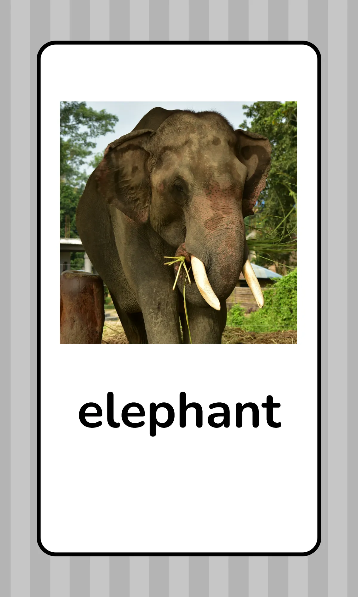 Free Alphabet Flashcards with Animals Template to Edit Online
