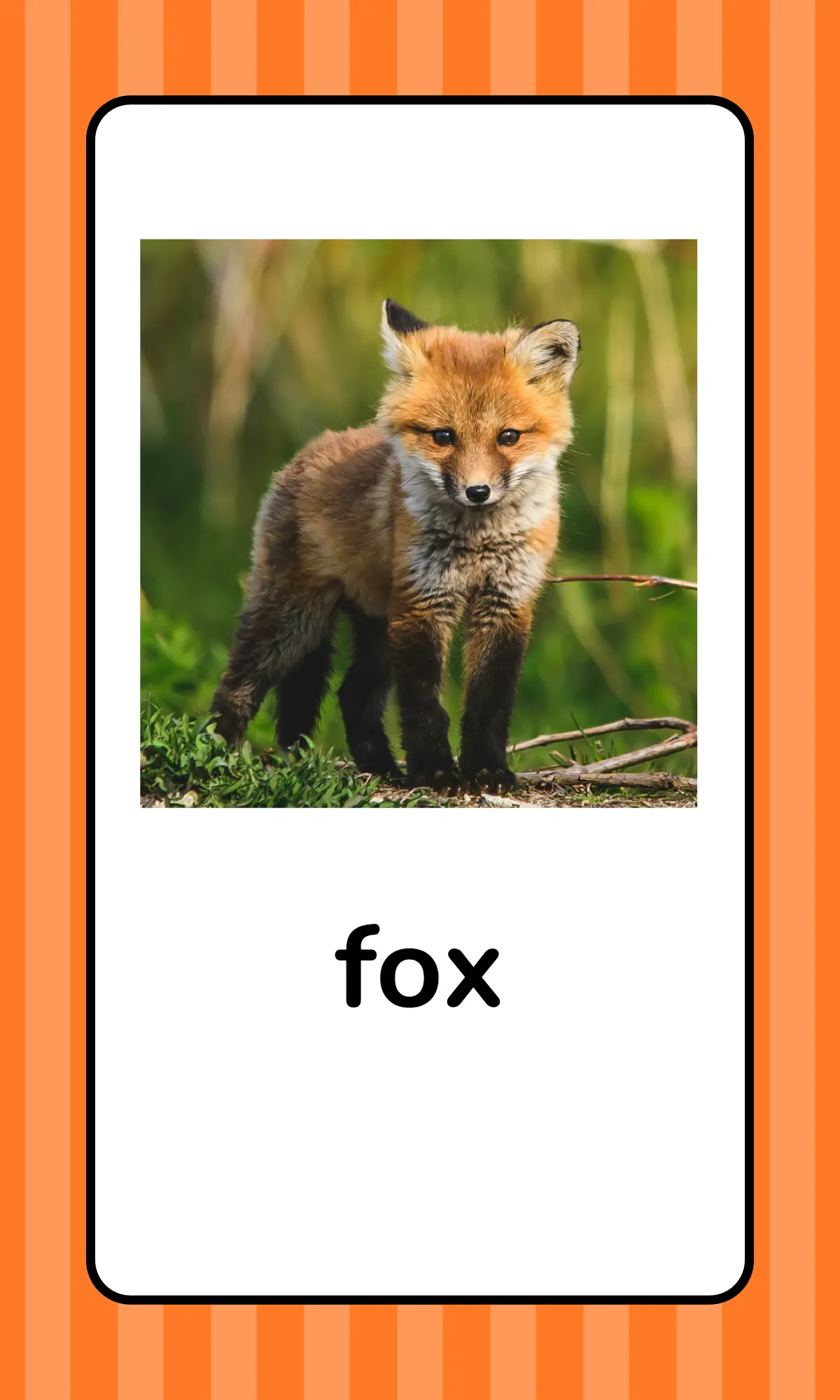 Free Alphabet Flashcards with Animals Template to Edit Online