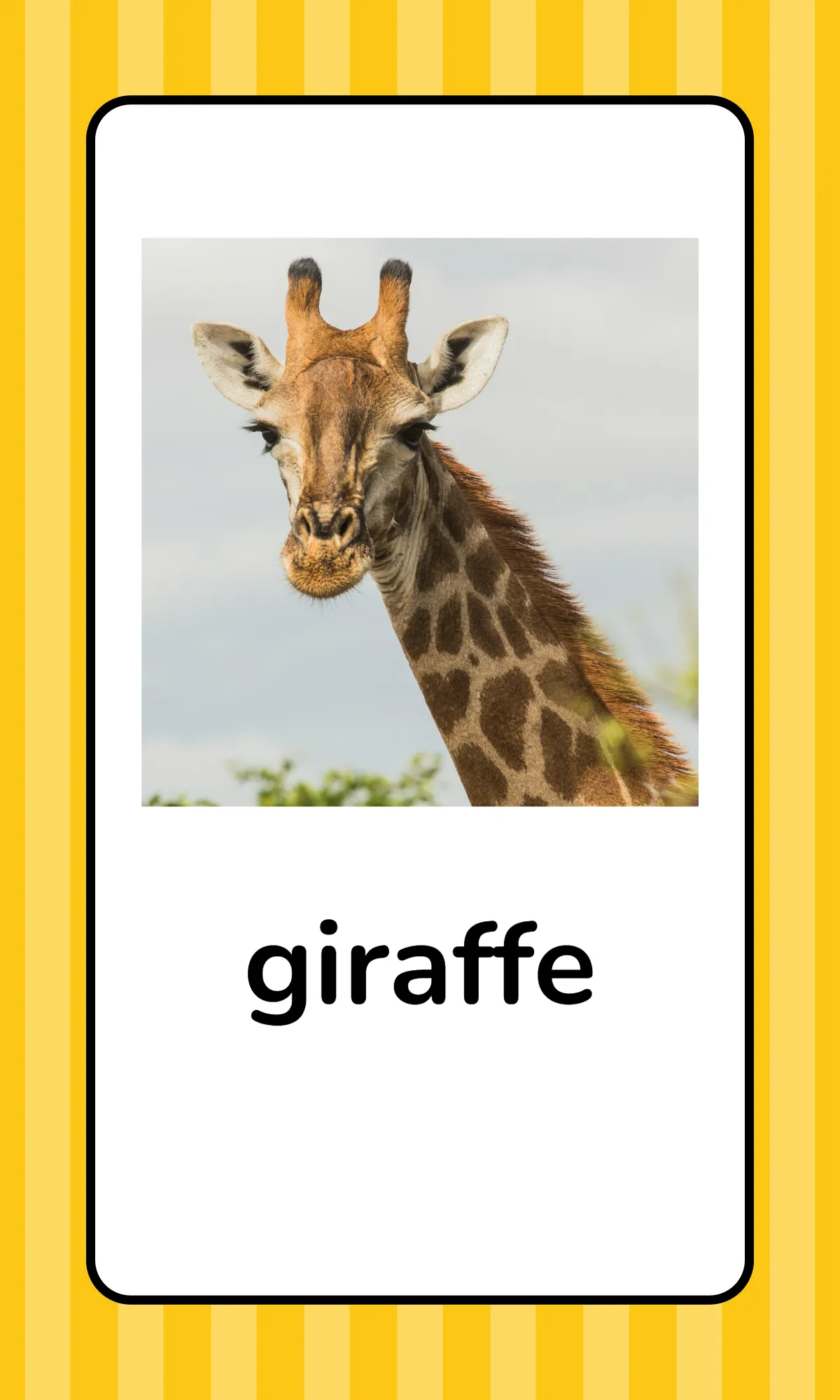 Free Alphabet Flashcards with Animals Template to Edit Online