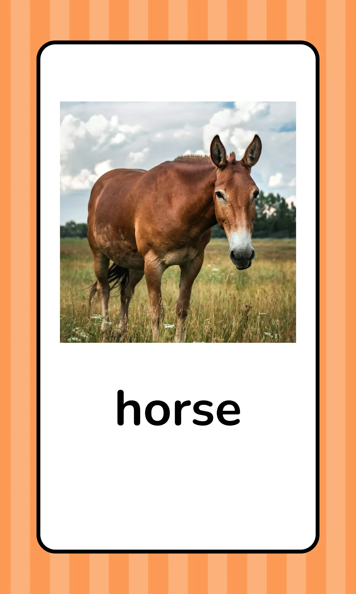 Free Alphabet Flashcards with Animals Template to Edit Online