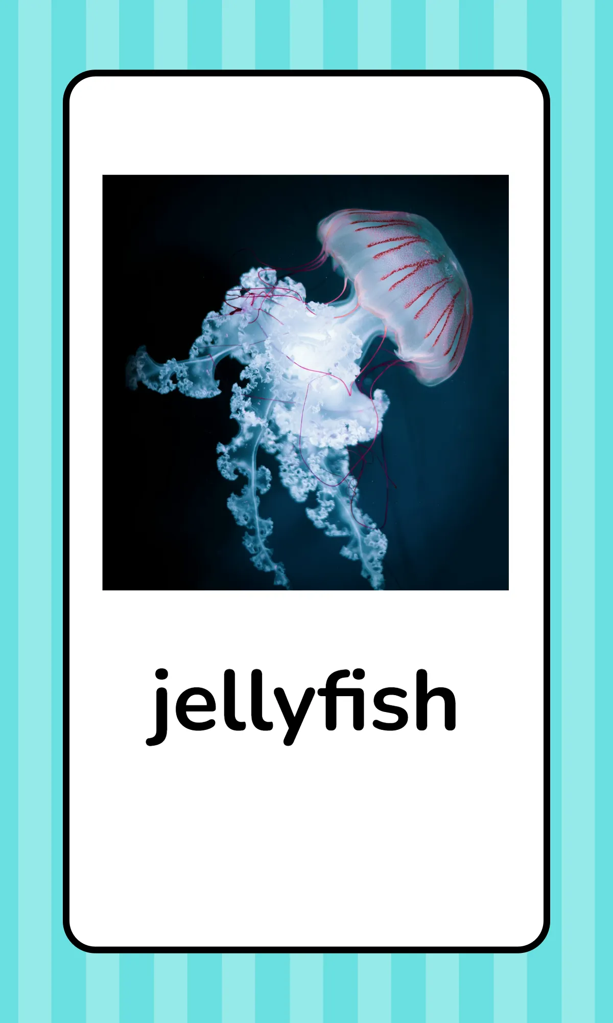 Free Alphabet Flashcards with Animals Template to Edit Online