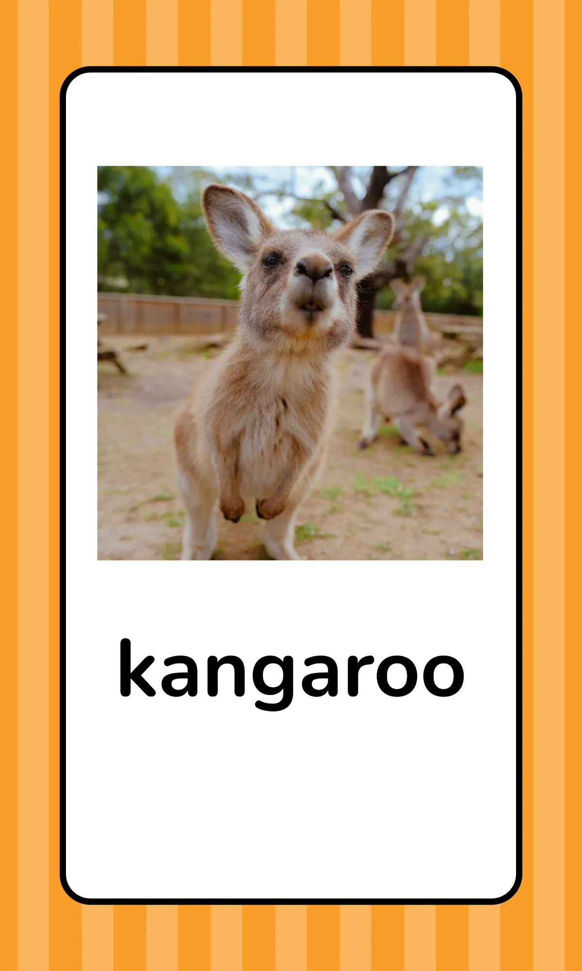 Free Alphabet Flashcards with Animals Template to Edit Online
