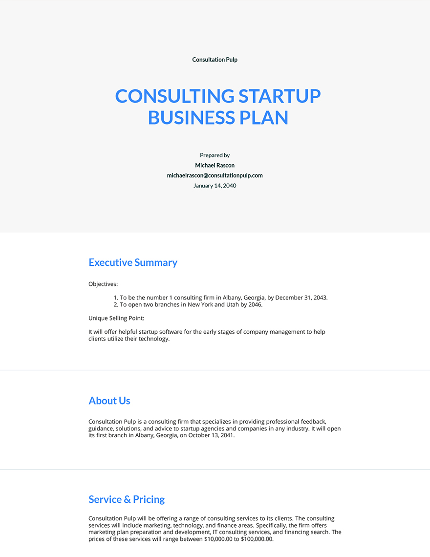 Consulting Startup Business Plan Template Google Docs, Word, Apple