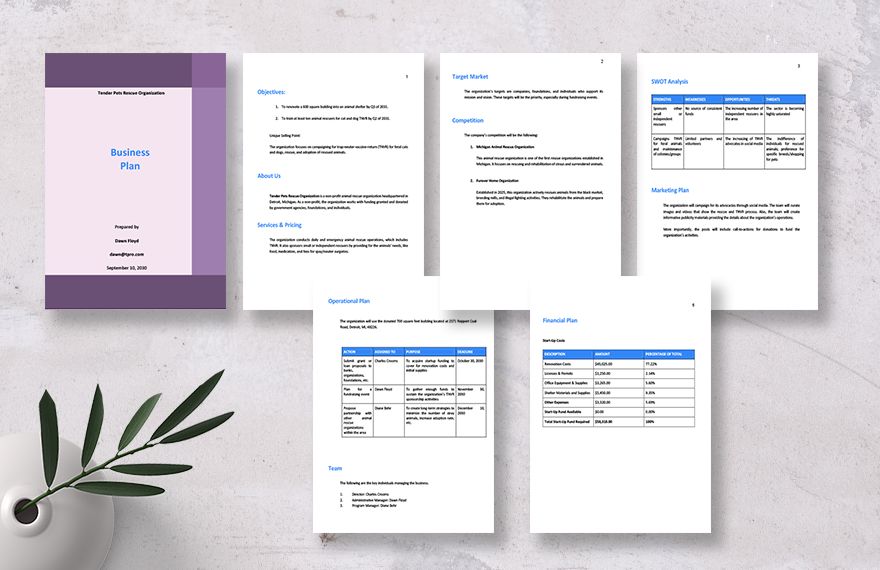 startup-nonprofit-business-plan-template-download-in-word-google-docs-pdf-apple-pages