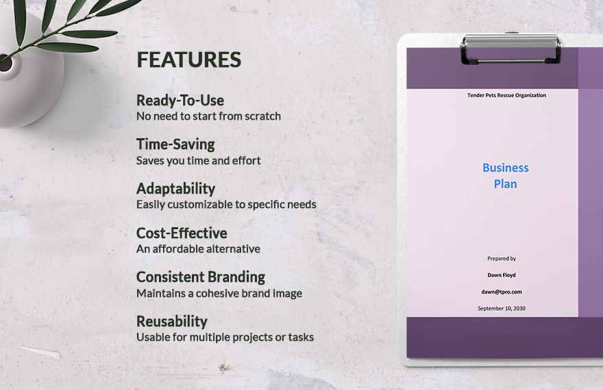 Startup Nonprofit Business Plan Template