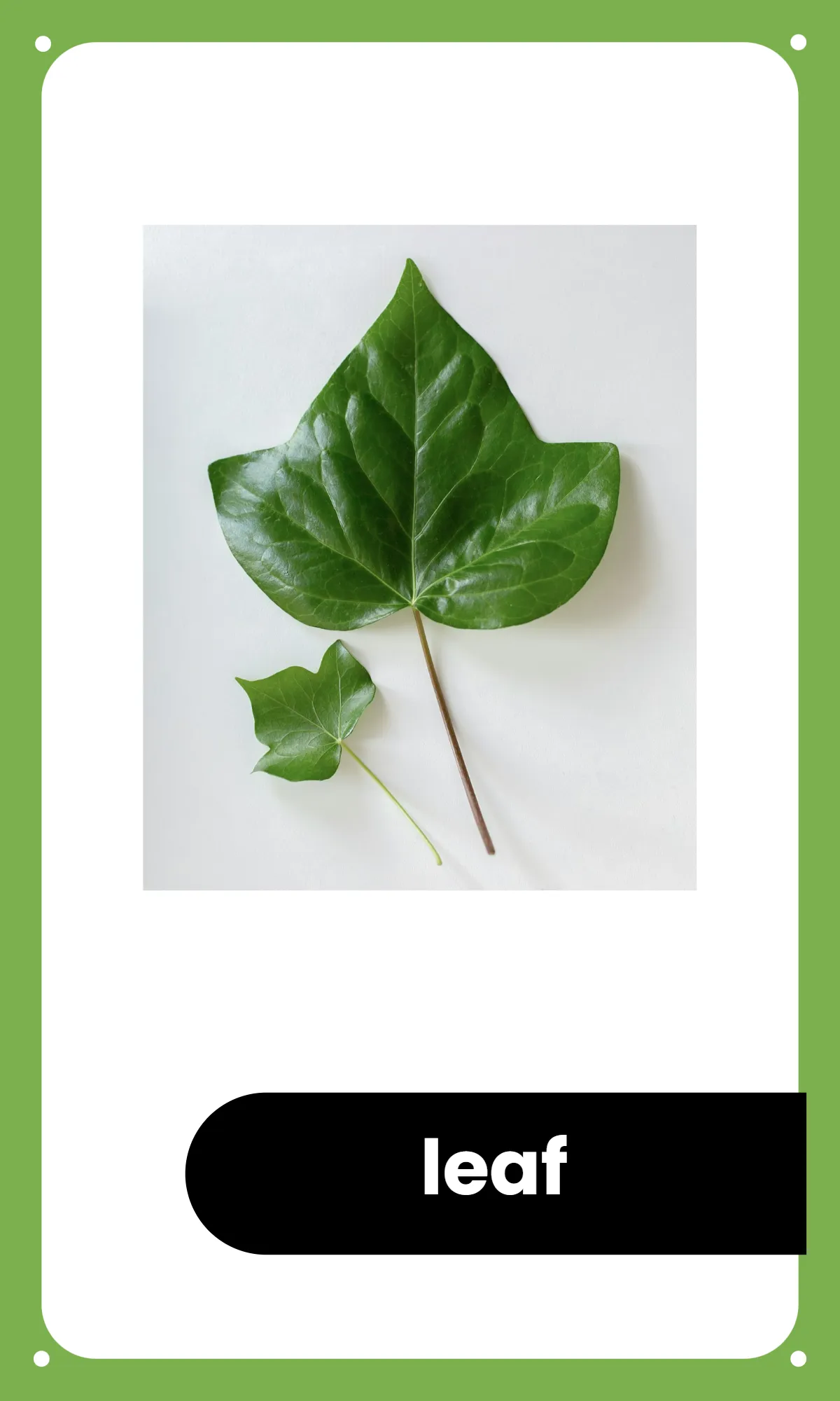 Free Preschool Alphabet Flashcards Template to Edit Online