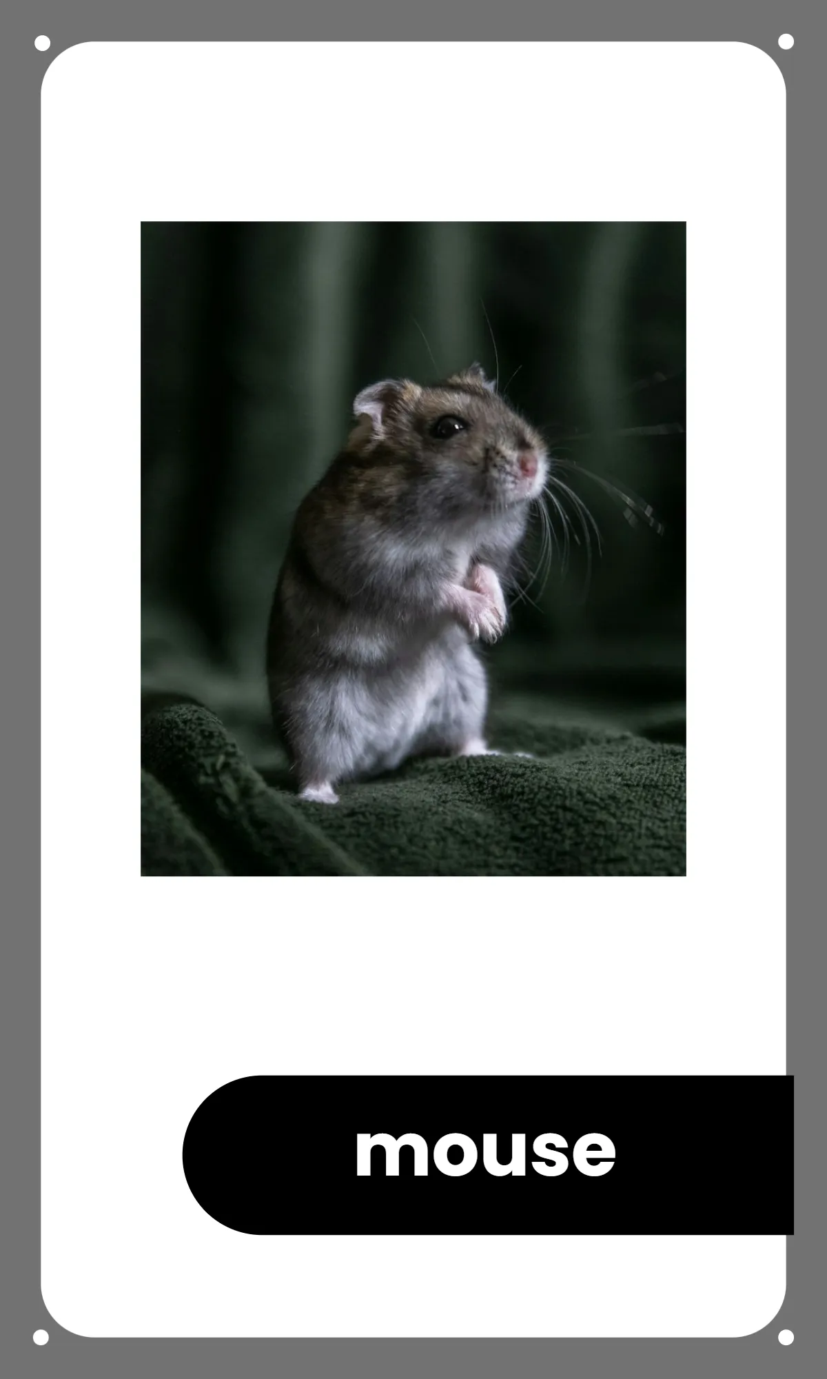 Free Preschool Alphabet Flashcards Template to Edit Online