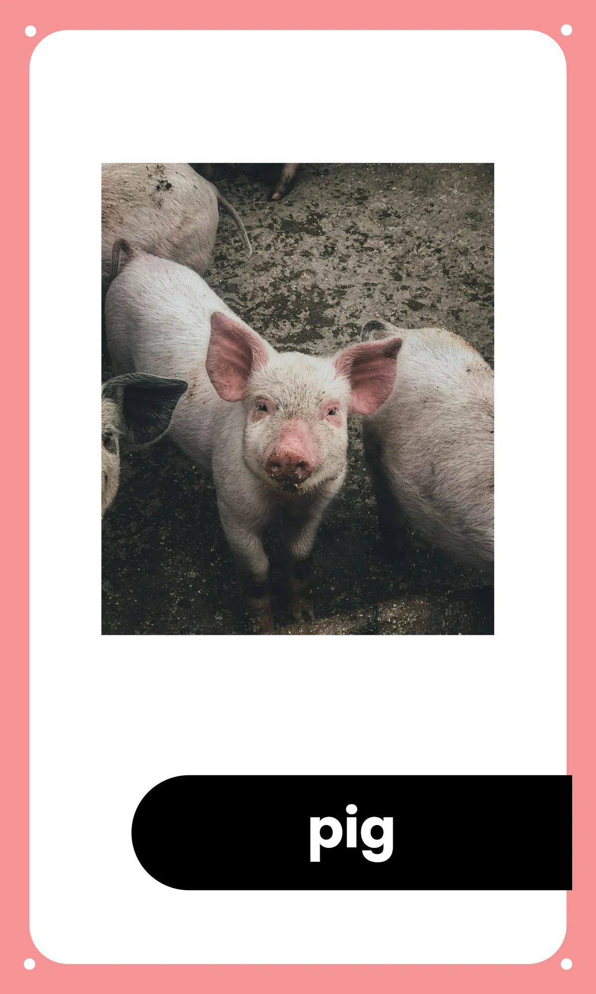 Free Preschool Alphabet Flashcards Template to Edit Online