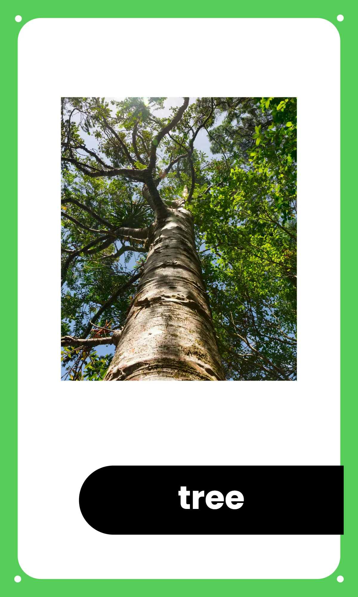 Free Preschool Alphabet Flashcards Template to Edit Online