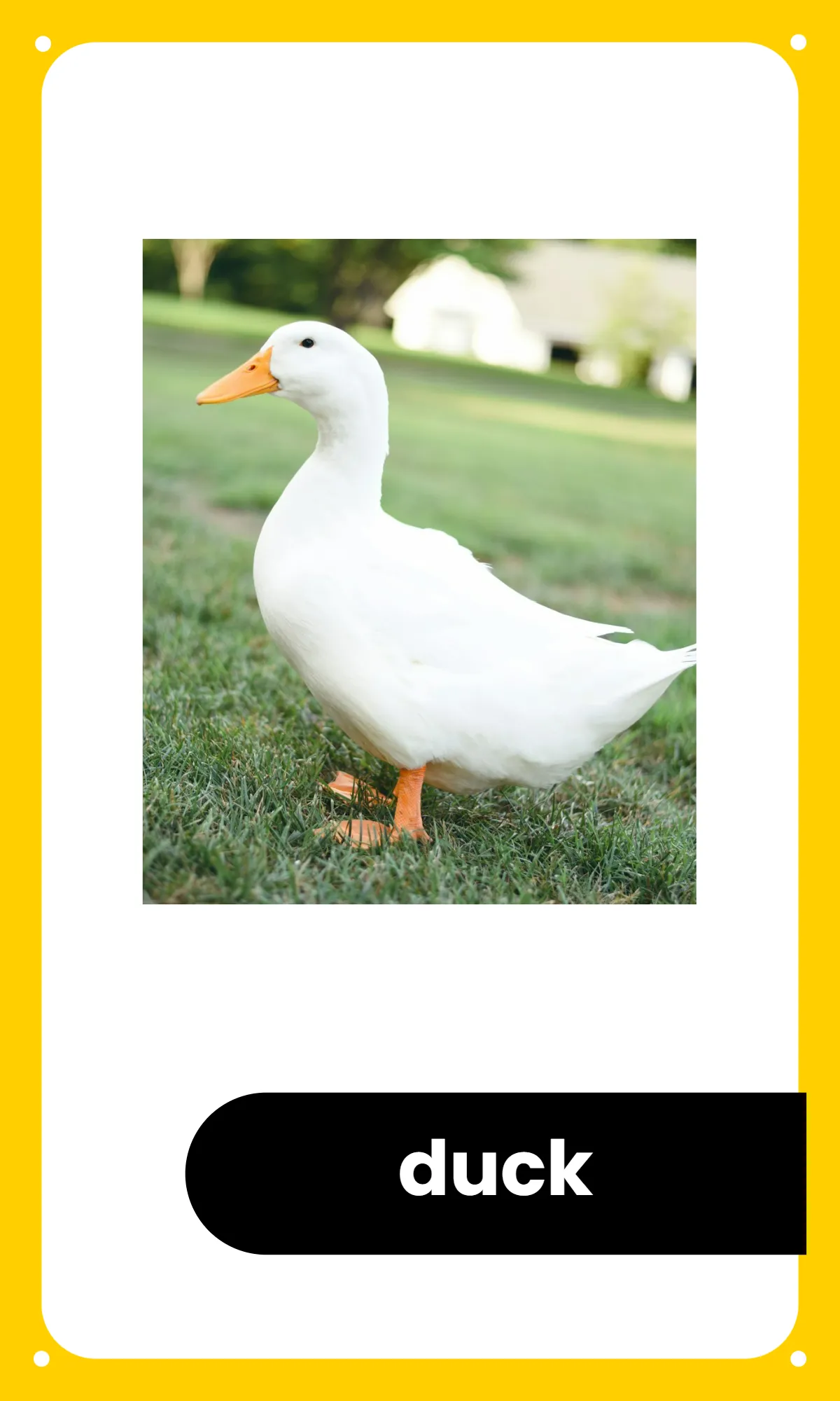 Free Preschool Alphabet Flashcards Template to Edit Online