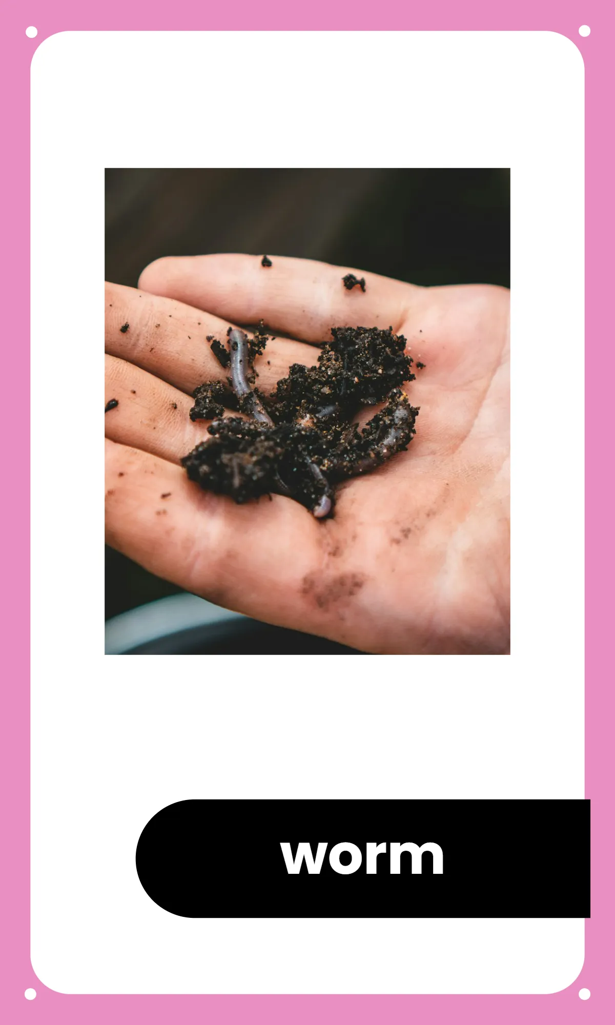 Free Preschool Alphabet Flashcards Template to Edit Online