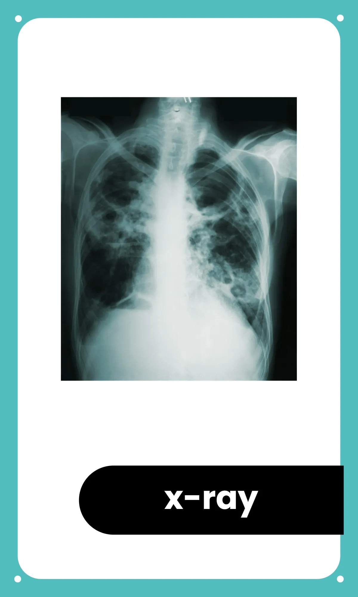 Free Preschool Alphabet Flashcards Template to Edit Online