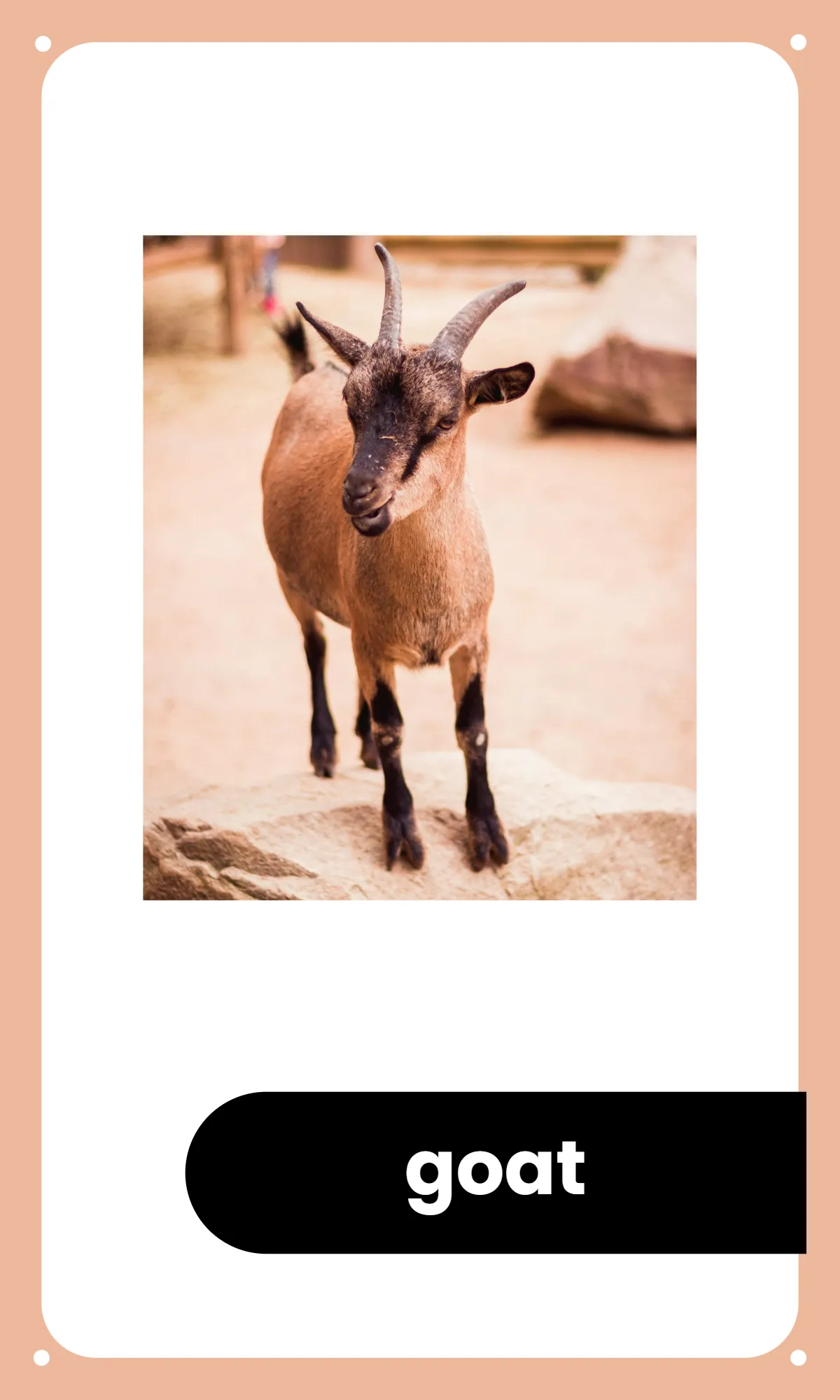 Free Preschool Alphabet Flashcards Template to Edit Online