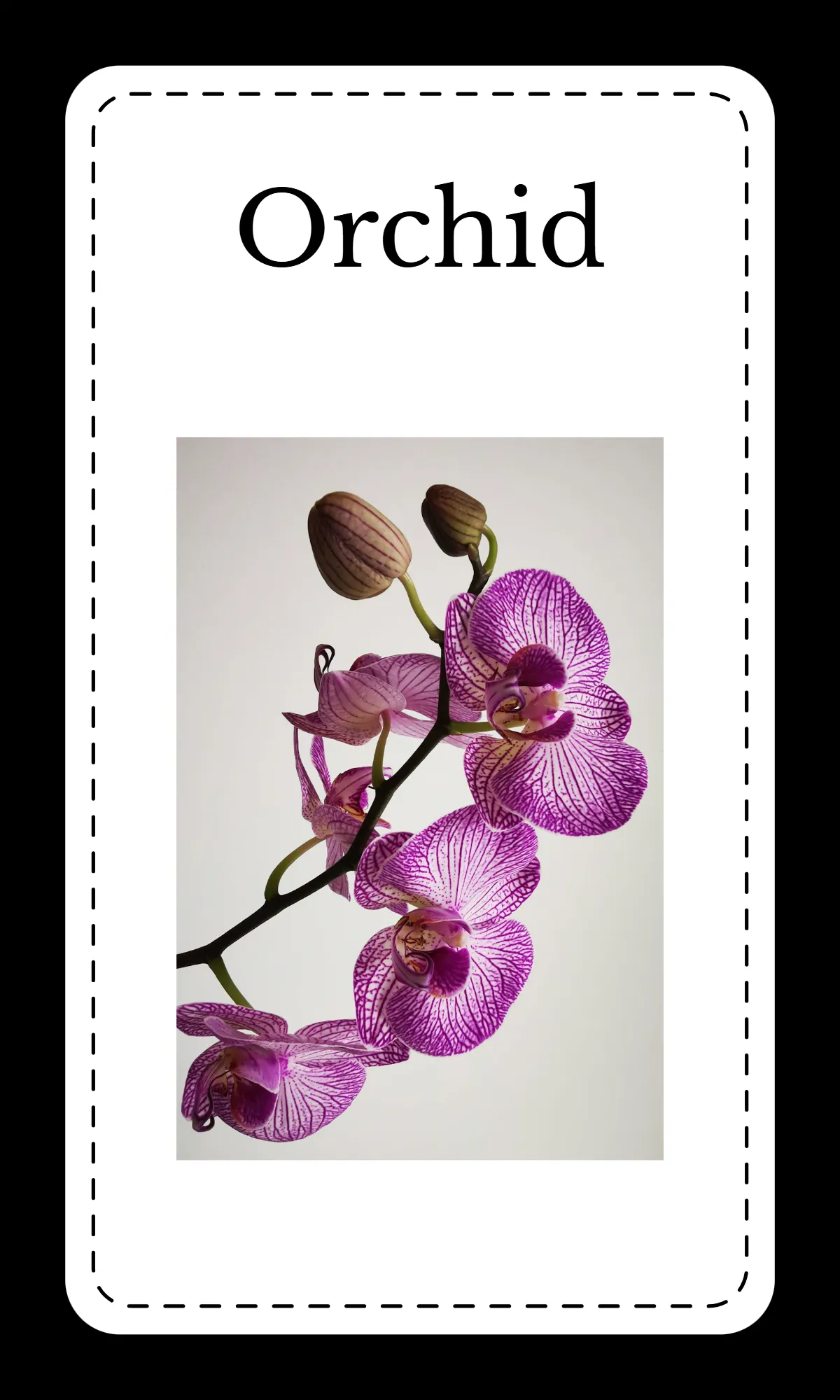 Free Creative Floral Alphabet Flashcards Template to Edit Online