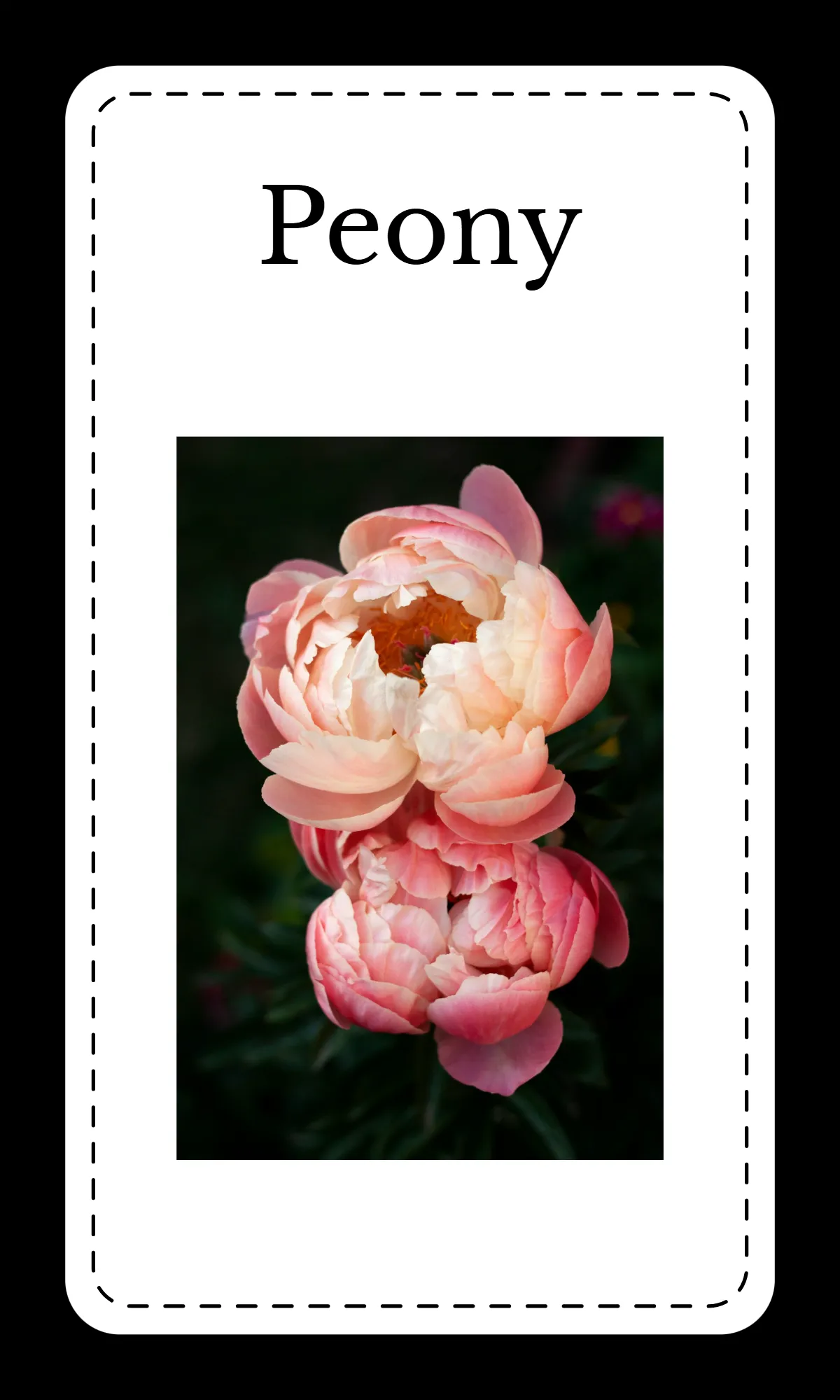 Free Creative Floral Alphabet Flashcards Template to Edit Online