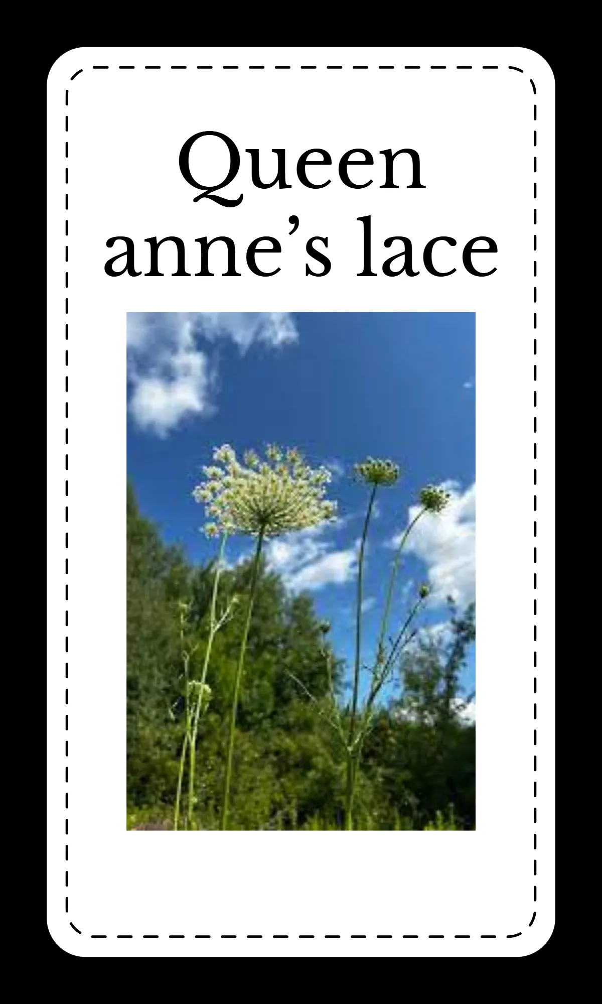 Free Creative Floral Alphabet Flashcards Template to Edit Online