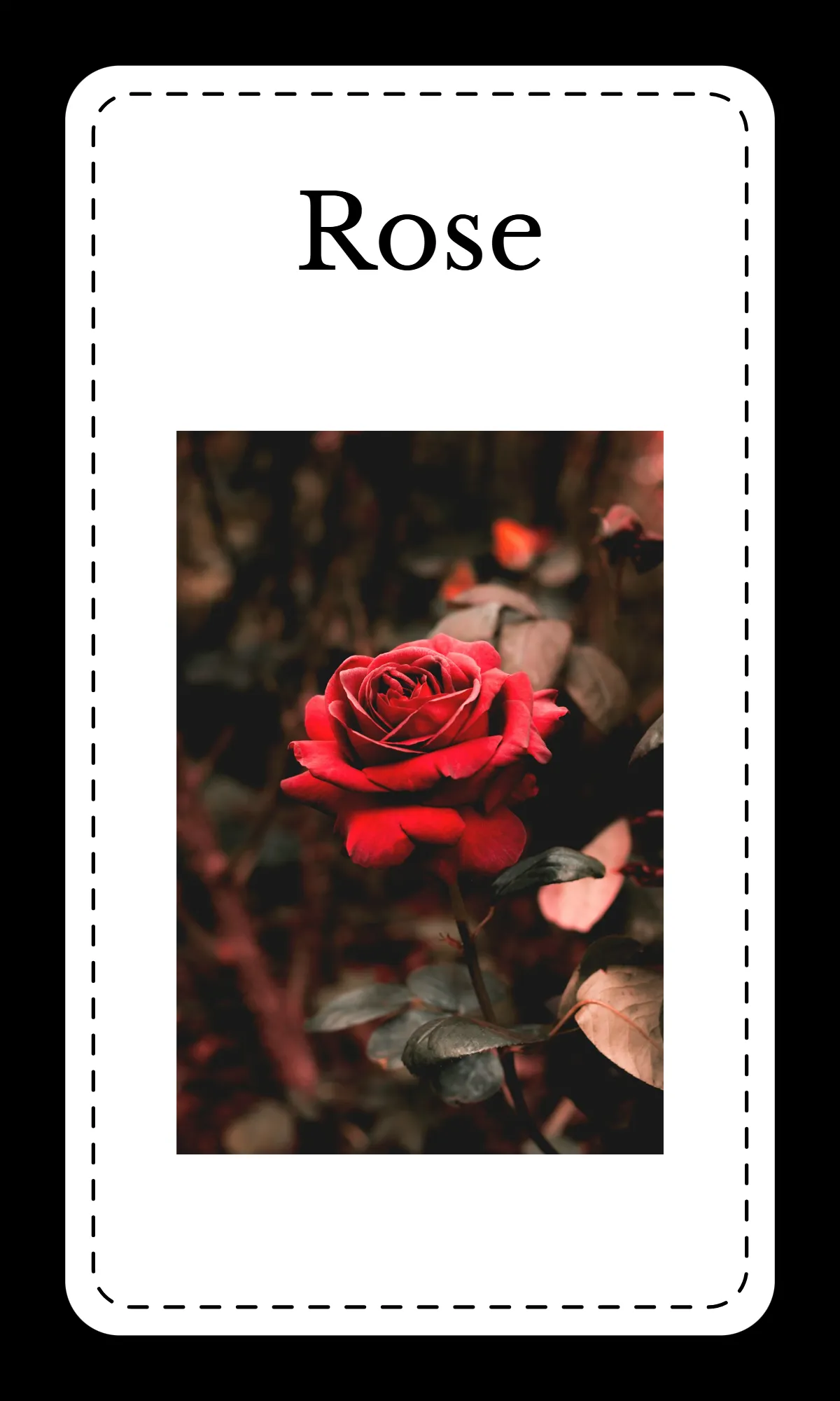 Free Creative Floral Alphabet Flashcards Template to Edit Online