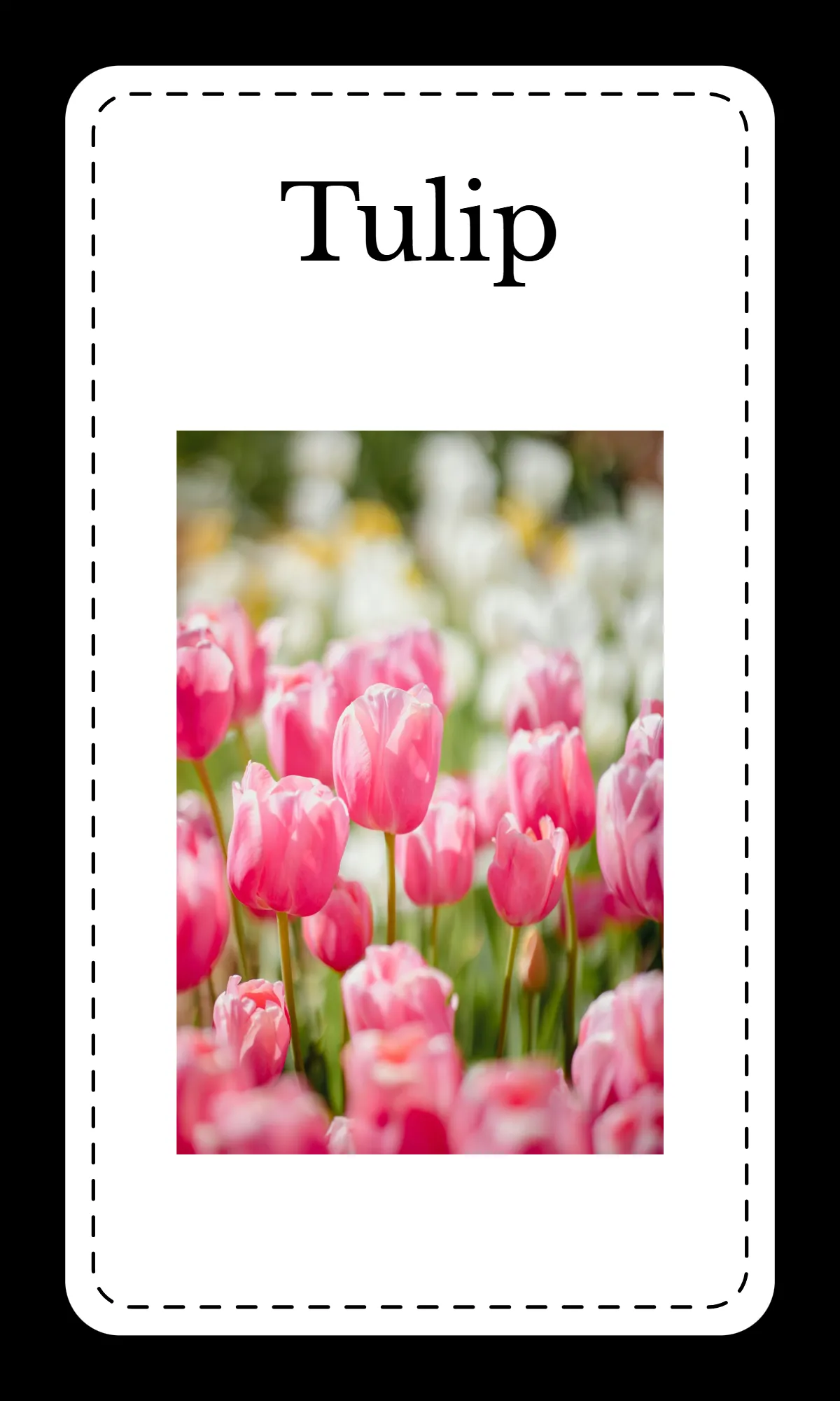 Free Creative Floral Alphabet Flashcards Template to Edit Online