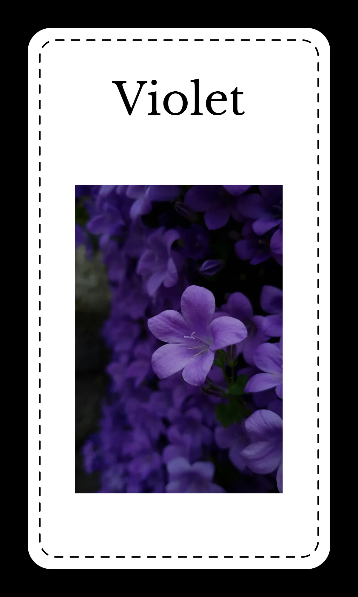 Free Creative Floral Alphabet Flashcards Template to Edit Online